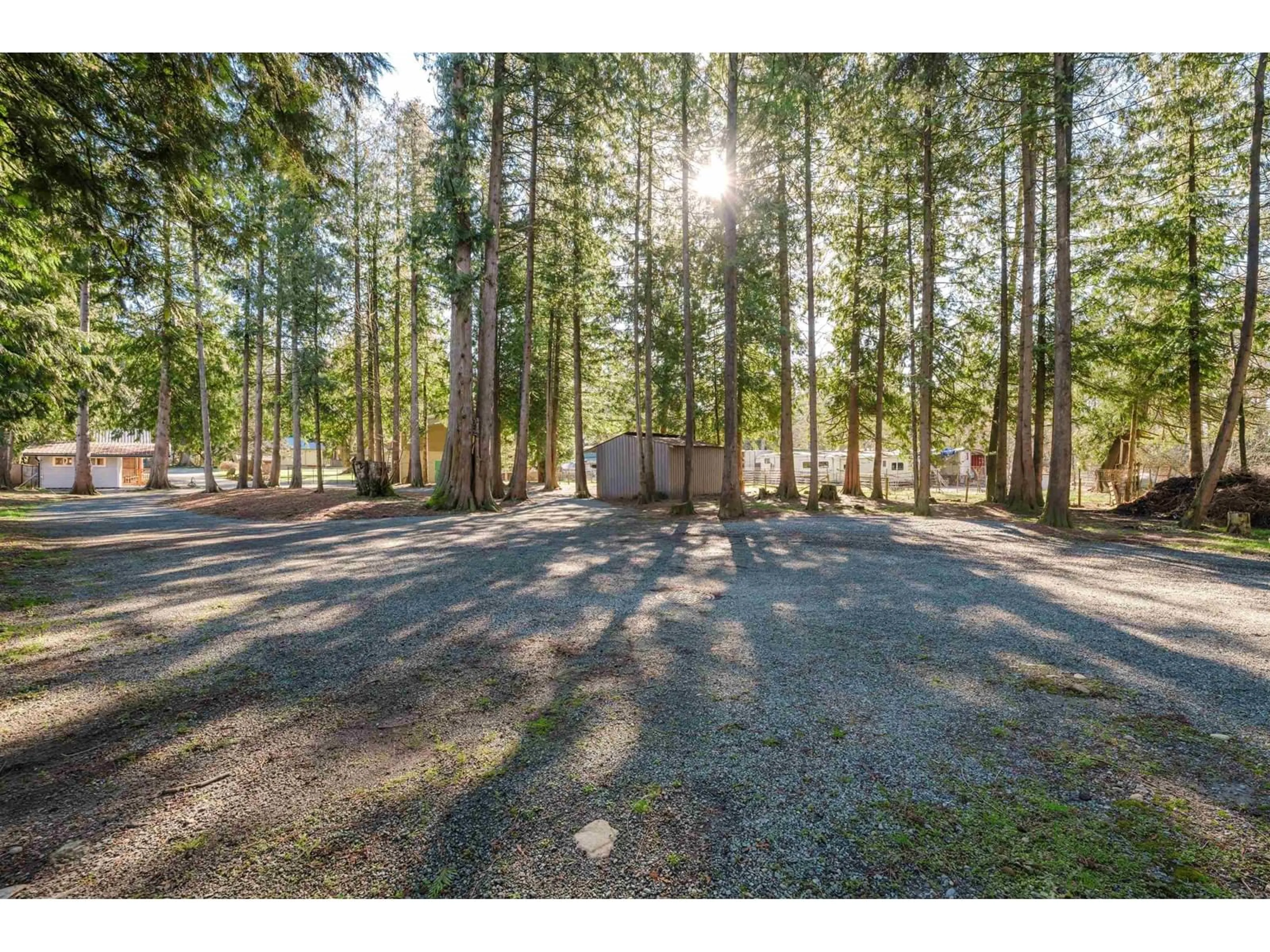 A pic from outside/outdoor area/front of a property/back of a property/a pic from drone, forest/trees view for 3955 248, Langley British Columbia V4W2B3