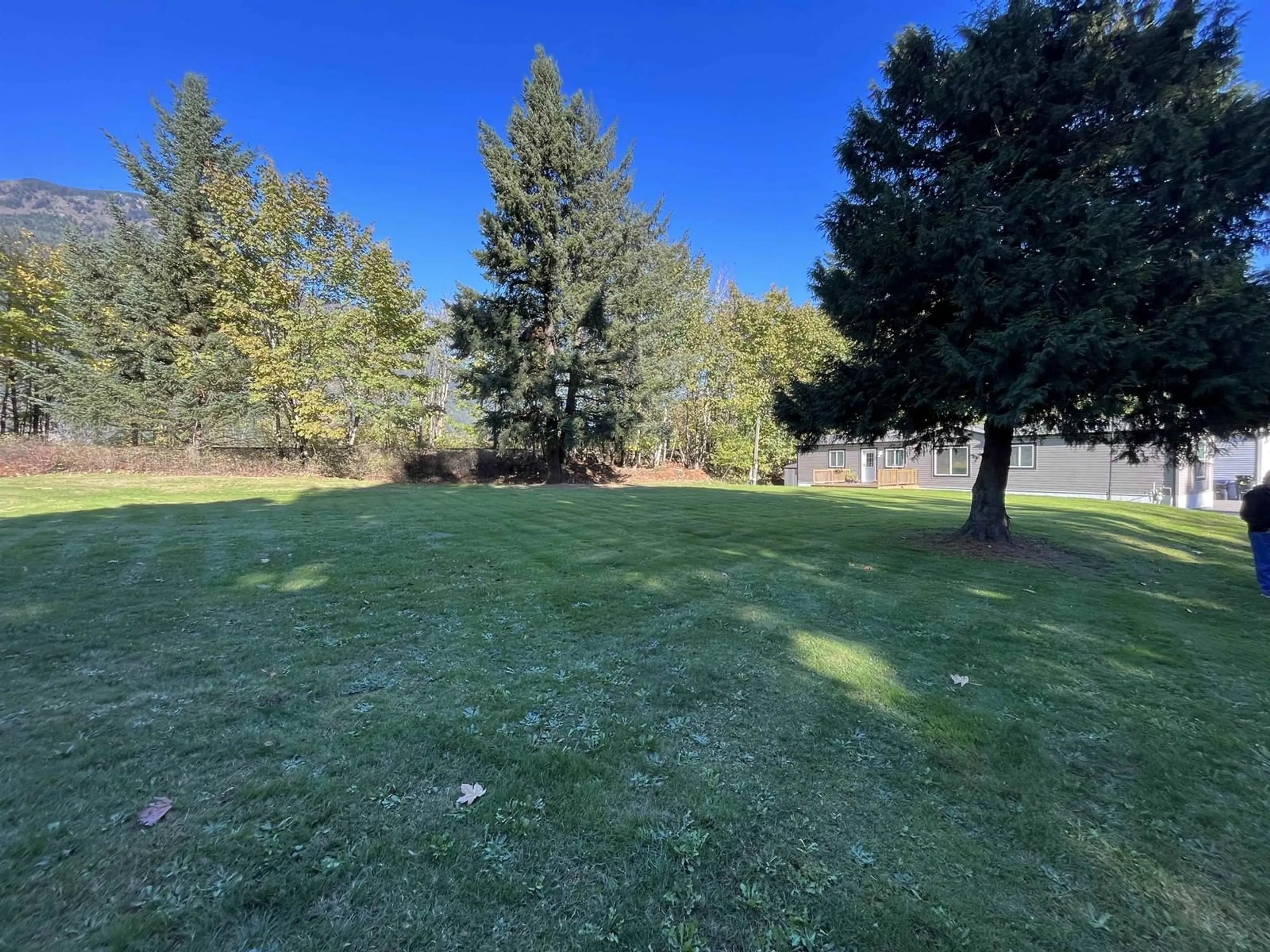 A pic from outside/outdoor area/front of a property/back of a property/a pic from drone, forest/trees view for 20 63071 FLOOD HOPE ROAD|Hope, Hope British Columbia V0X1L2