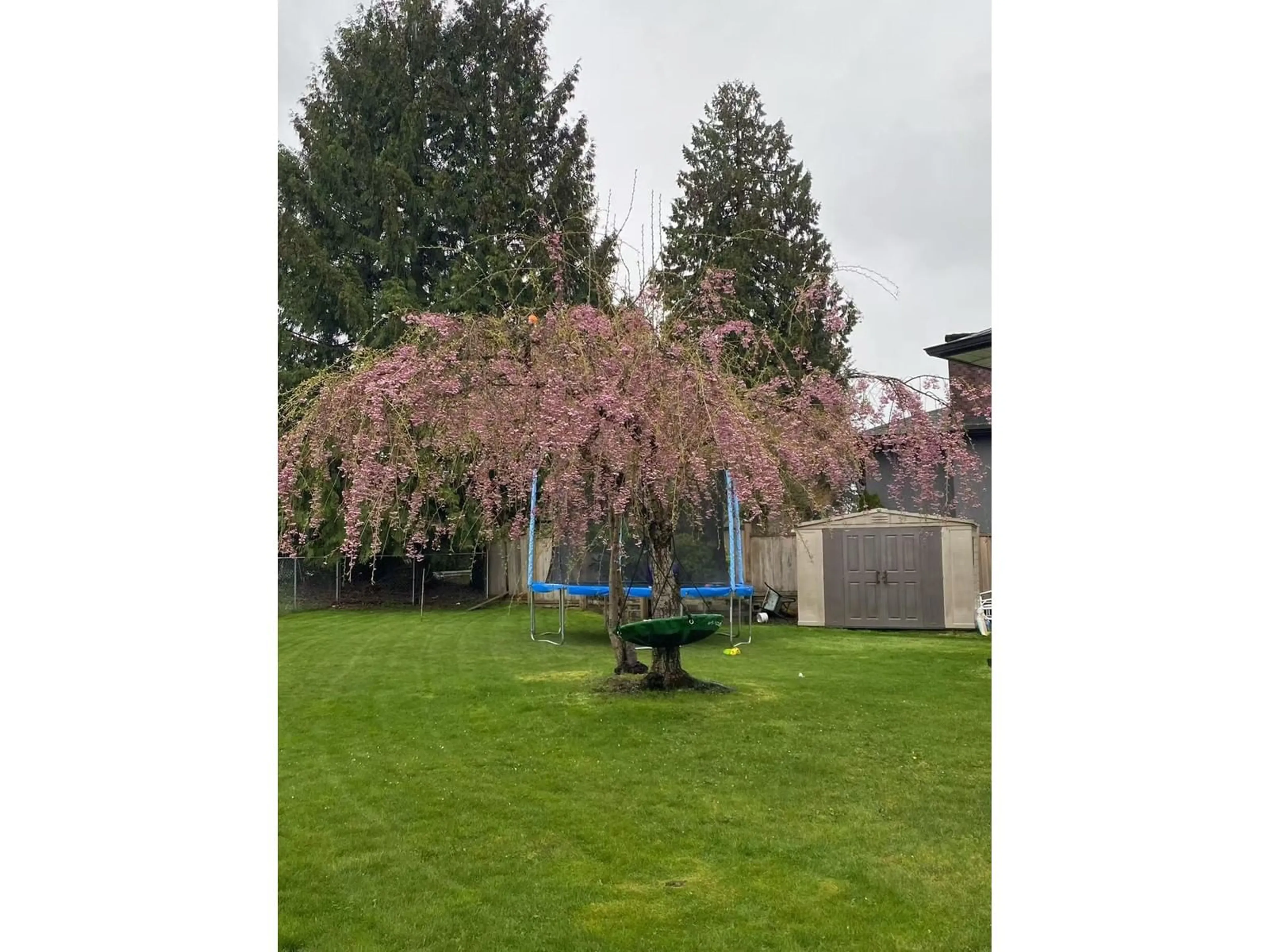 Unknown for 14920 KEW, Surrey British Columbia V3R4Y2
