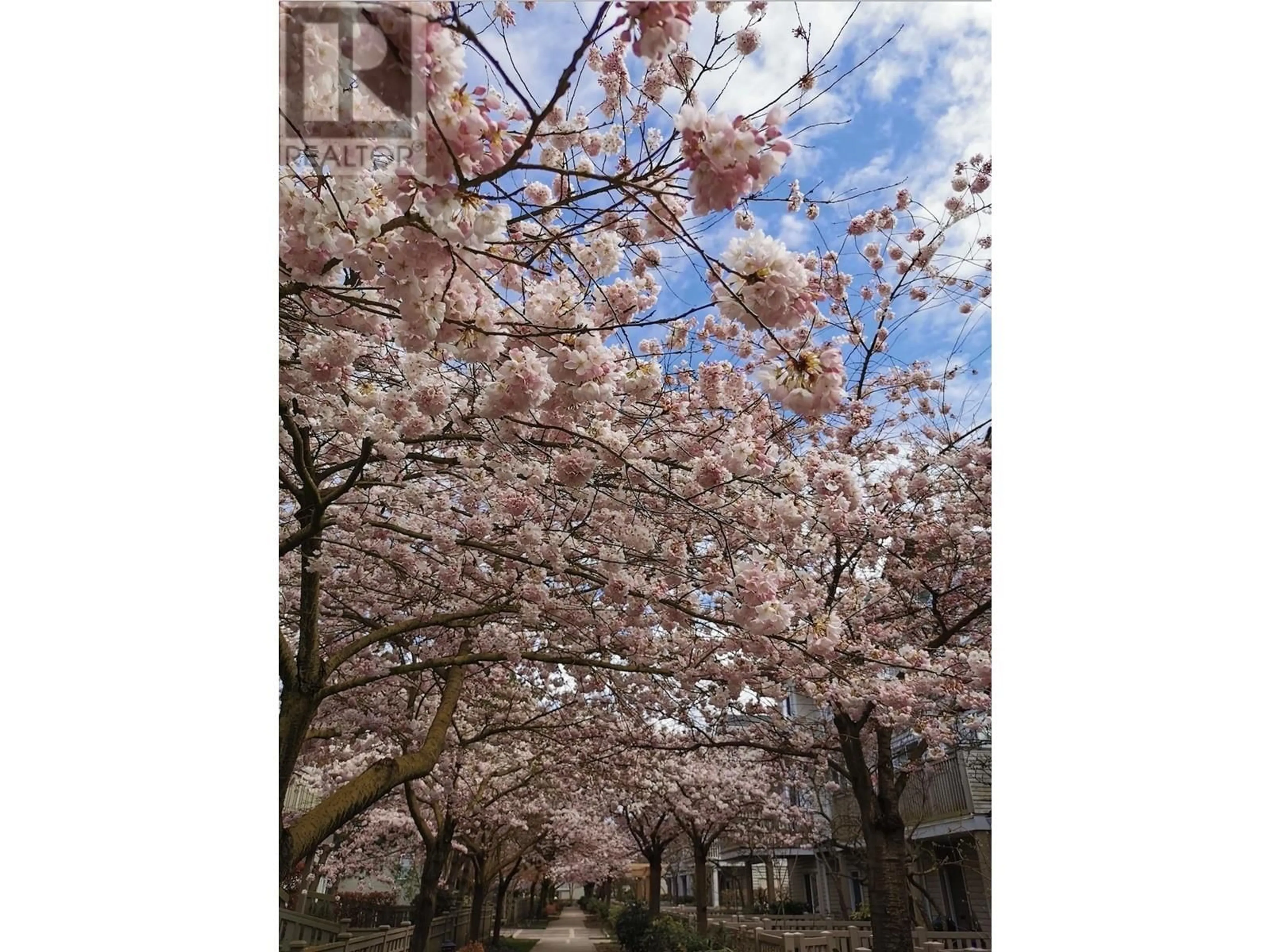Blurry image for 66 - 6588 BARNARD DRIVE, Richmond British Columbia V7C5R8