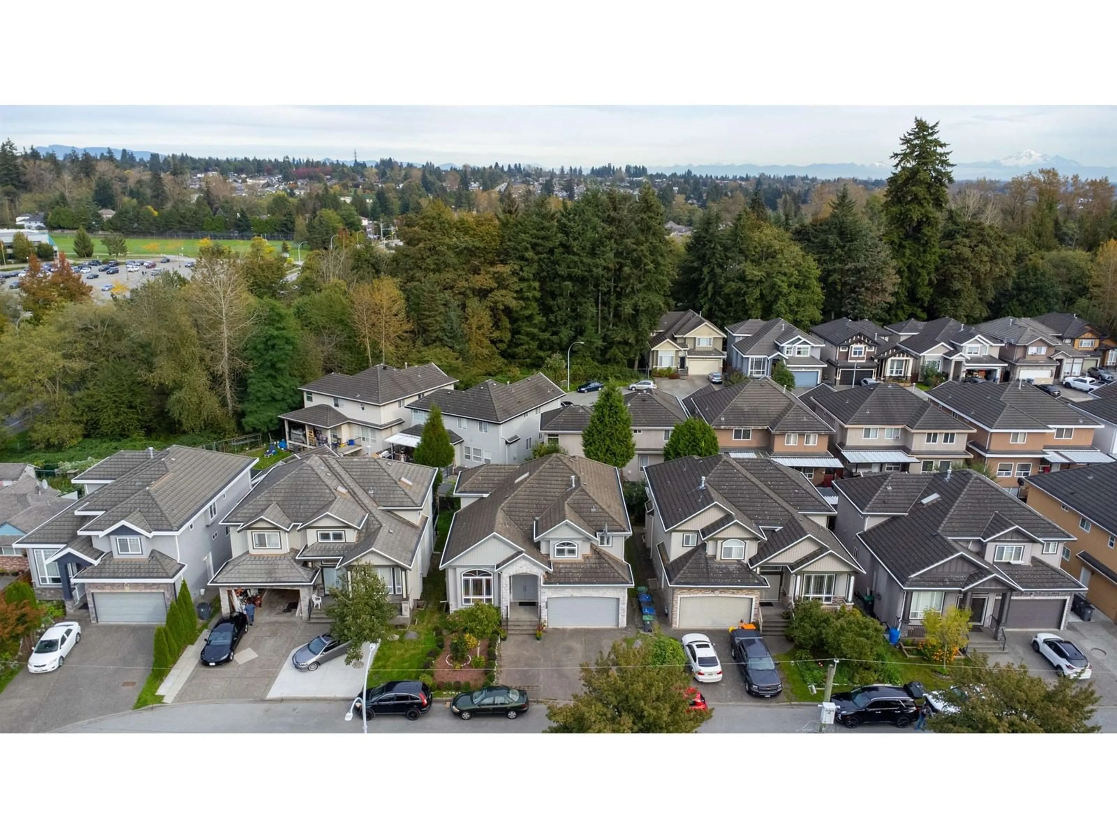 A pic from outside/outdoor area/front of a property/back of a property/a pic from drone, mountain view for 8358 144 STREET, Surrey British Columbia V3W5T5