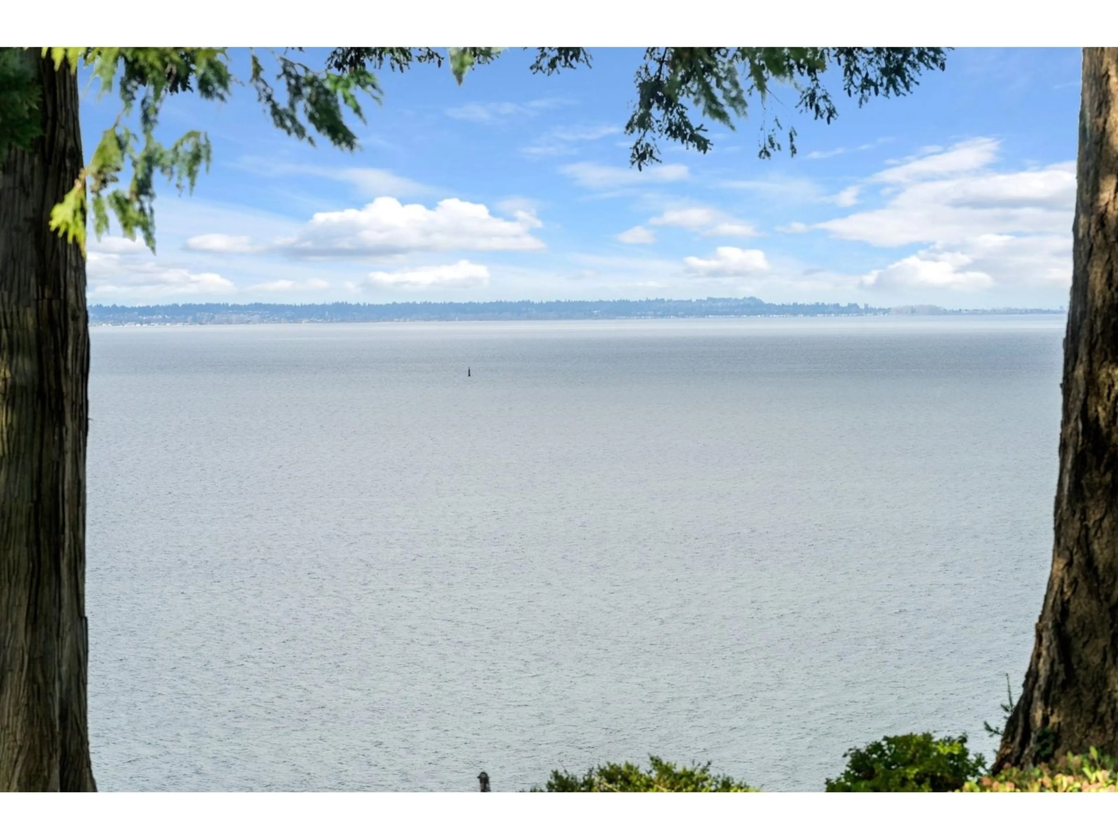 A pic from outside/outdoor area/front of a property/back of a property/a pic from drone, water/lake/river/ocean view for 2351 CHRISTOPHERSON, Surrey British Columbia V4A3L2