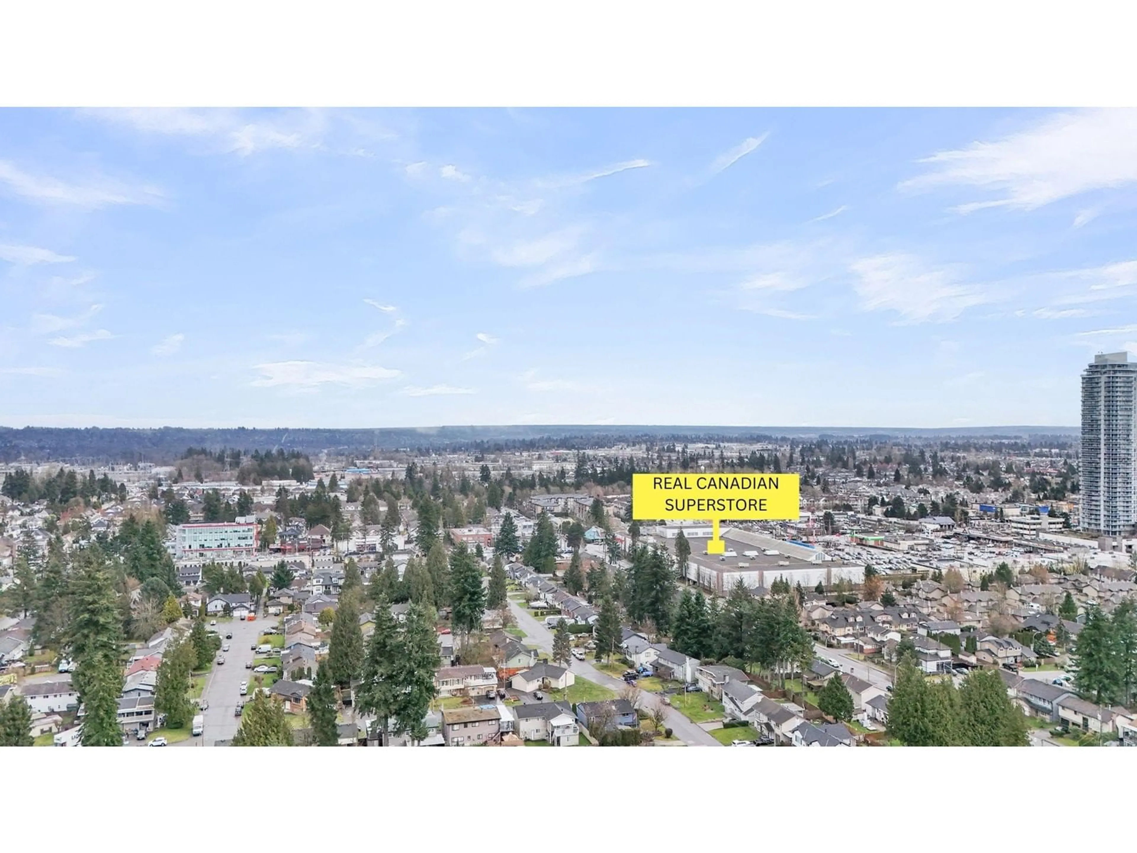 A pic from outside/outdoor area/front of a property/back of a property/a pic from drone, mountain view for 11717 82B, Delta British Columbia V4C2E8