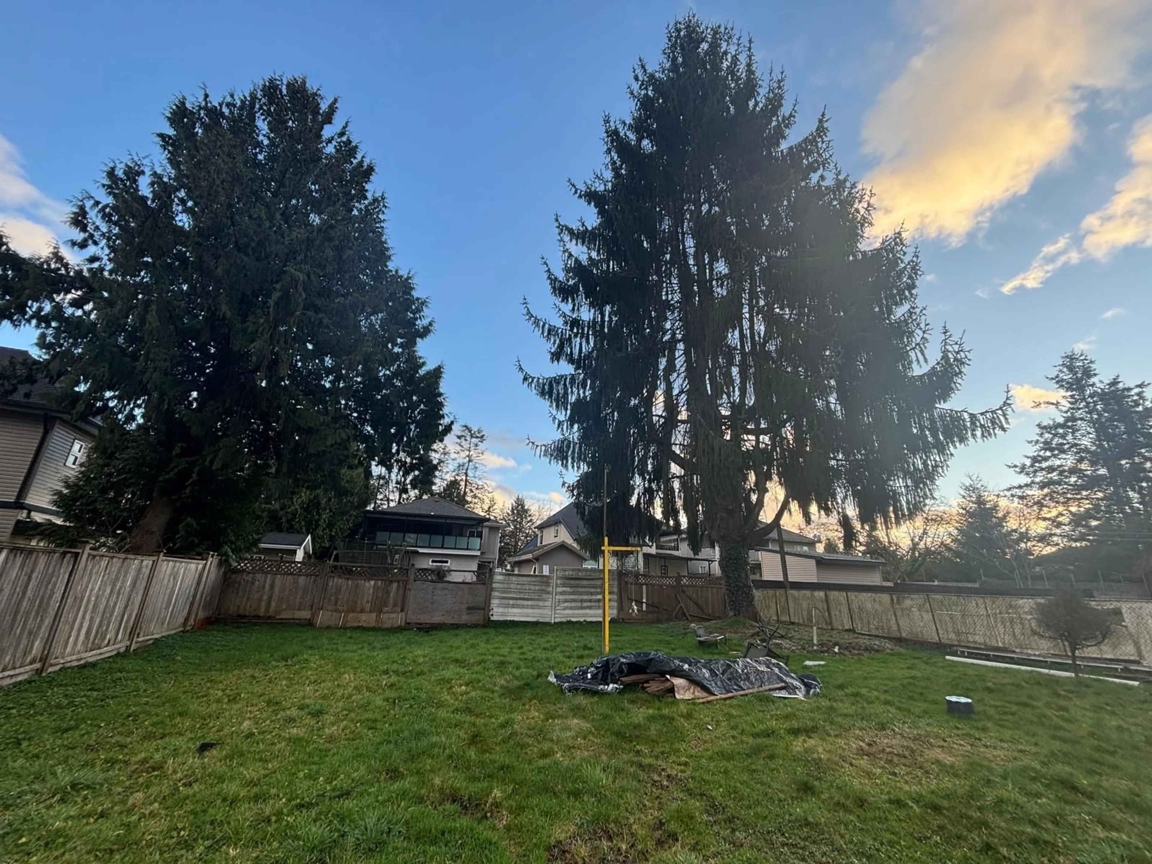 A pic from outside/outdoor area/front of a property/back of a property/a pic from drone, forest/trees view for 13370 96 AVENUE, Surrey British Columbia V3V1Y4