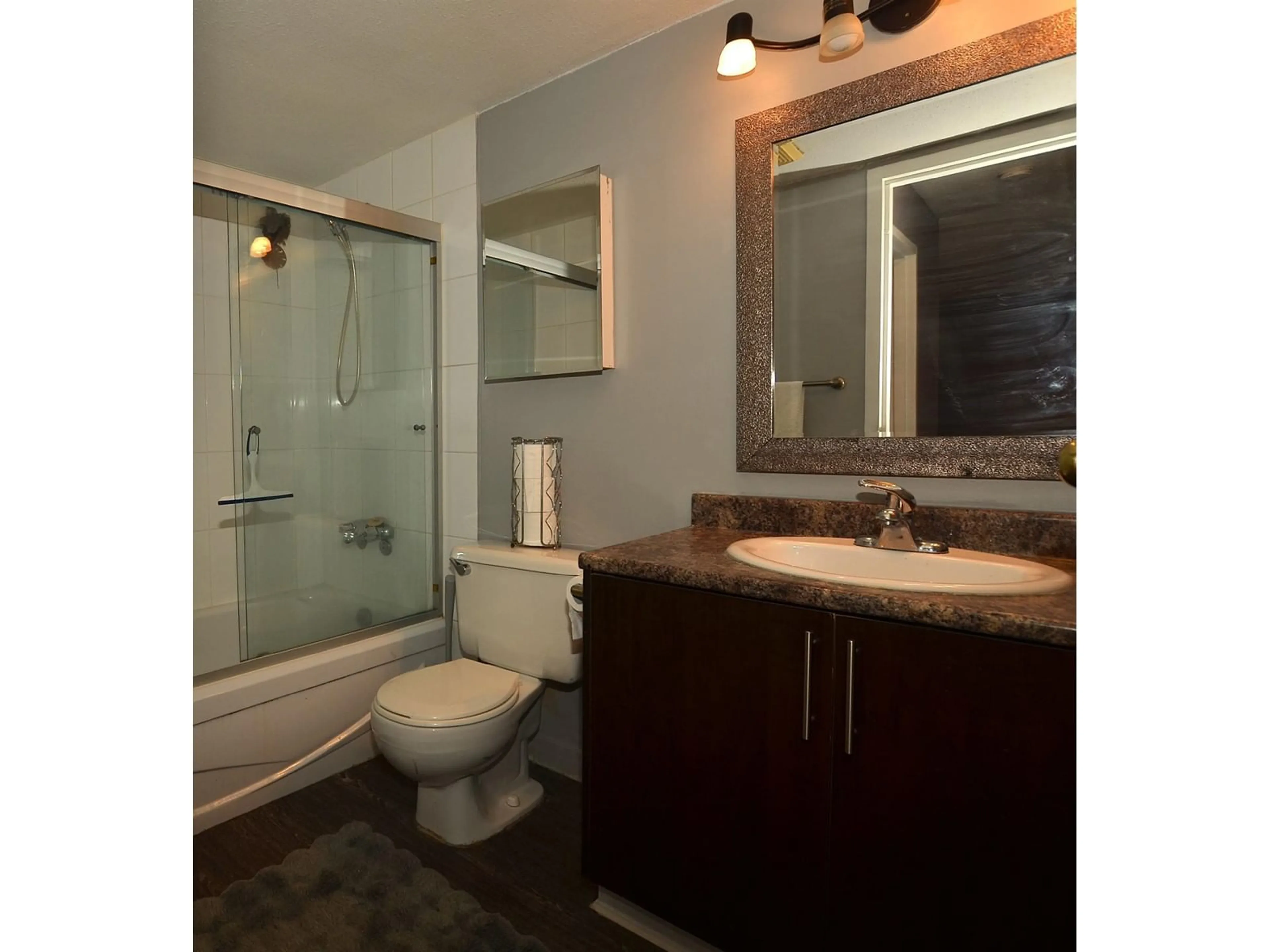 Standard bathroom, unknown for 312 - 13501 96, Surrey British Columbia V3V7L9