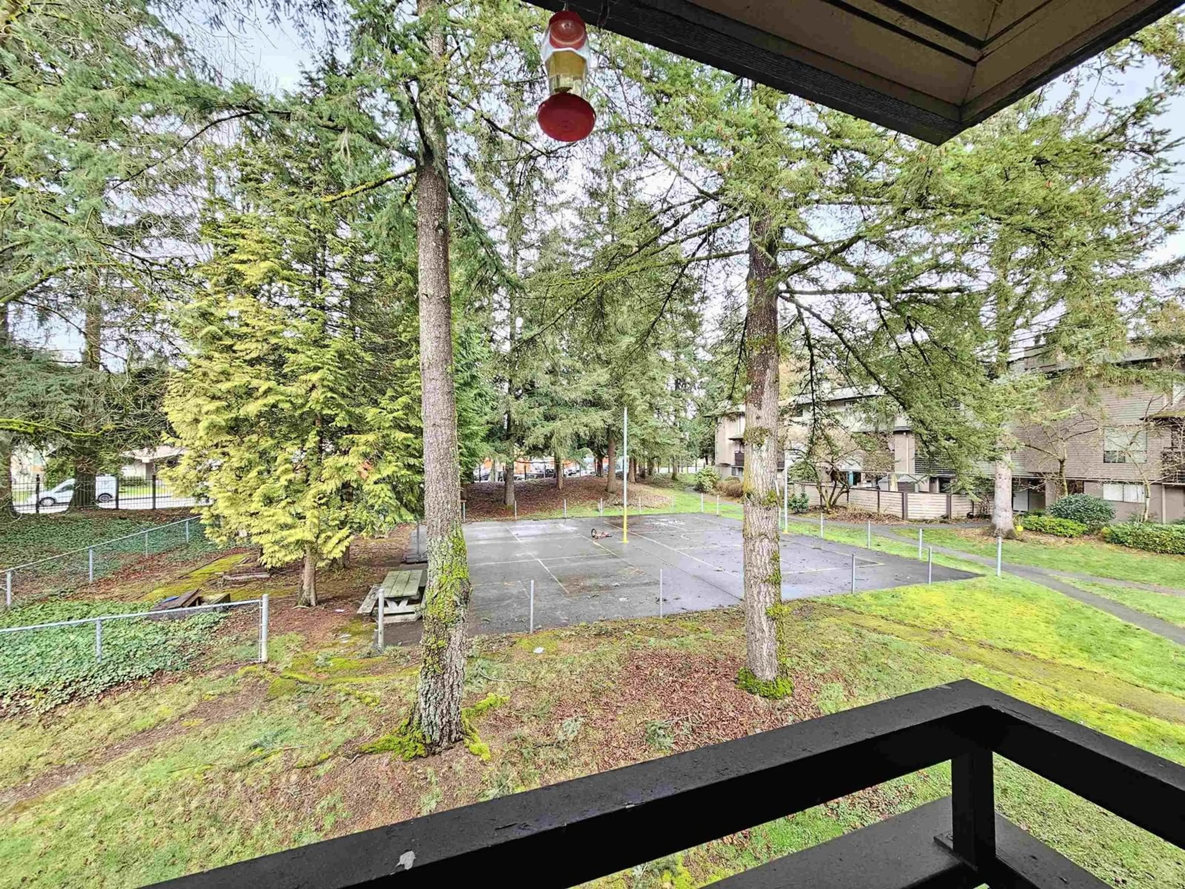 Patio, forest/trees view for 10539 HOLLY PARK, Surrey British Columbia V3R6X8