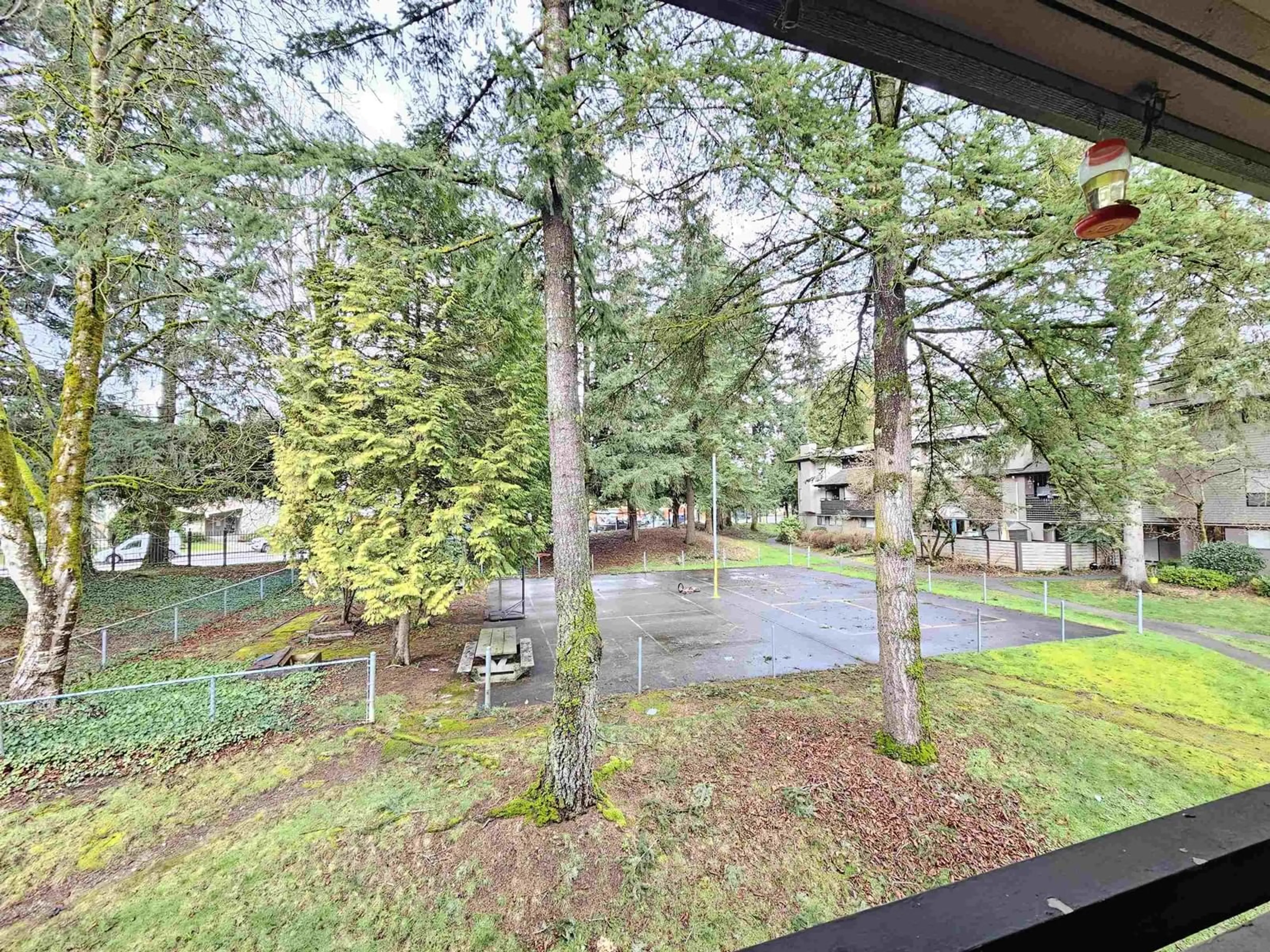 A pic from outside/outdoor area/front of a property/back of a property/a pic from drone, forest/trees view for 10539 HOLLY PARK, Surrey British Columbia V3R6X8