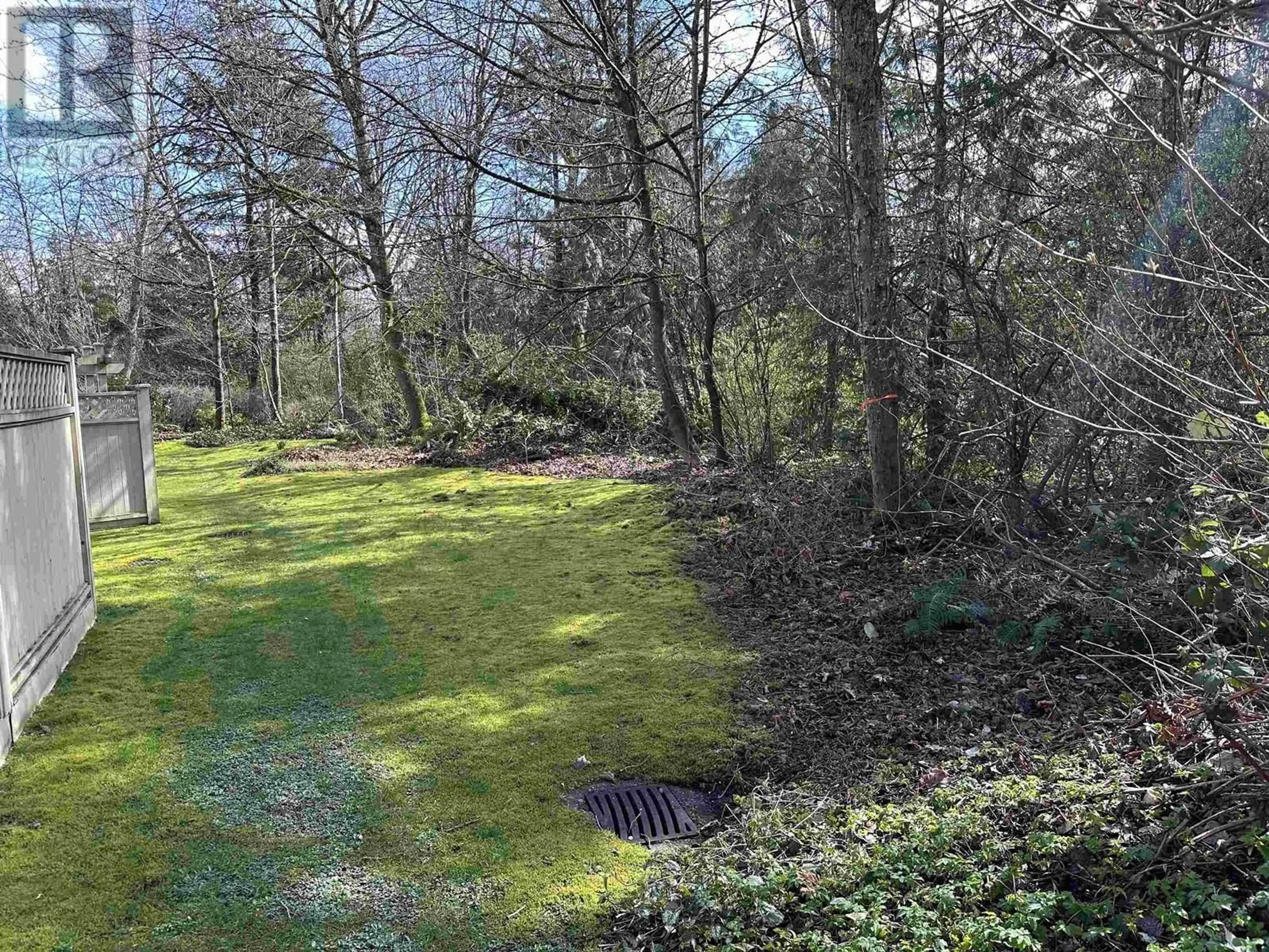 A pic from outside/outdoor area/front of a property/back of a property/a pic from drone, forest/trees view for 3444 LANGFORD AVENUE, Vancouver British Columbia V5S4B7