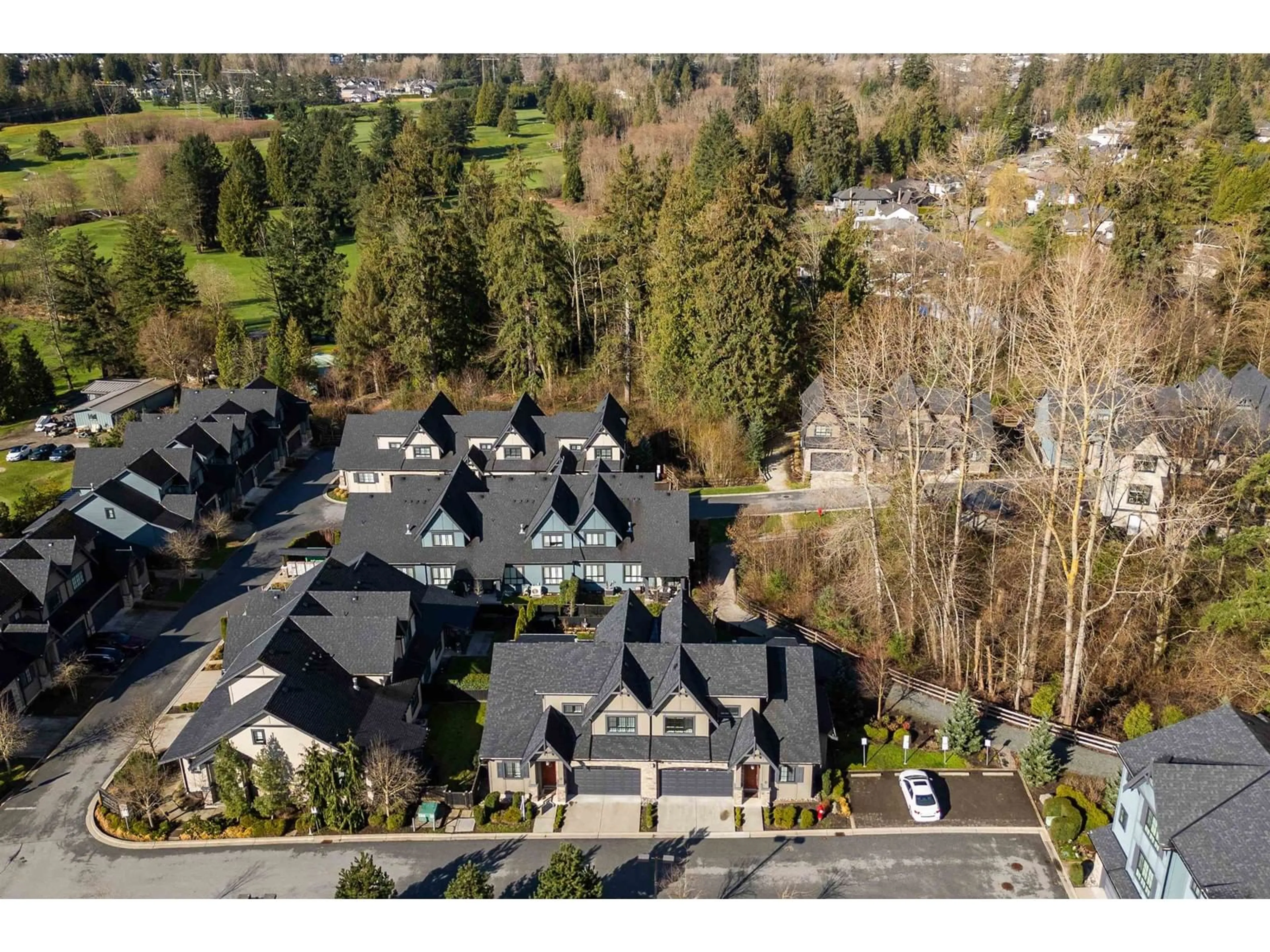 A pic from outside/outdoor area/front of a property/back of a property/a pic from drone, mountain view for 4 - 7979 152, Surrey British Columbia V3S7S7