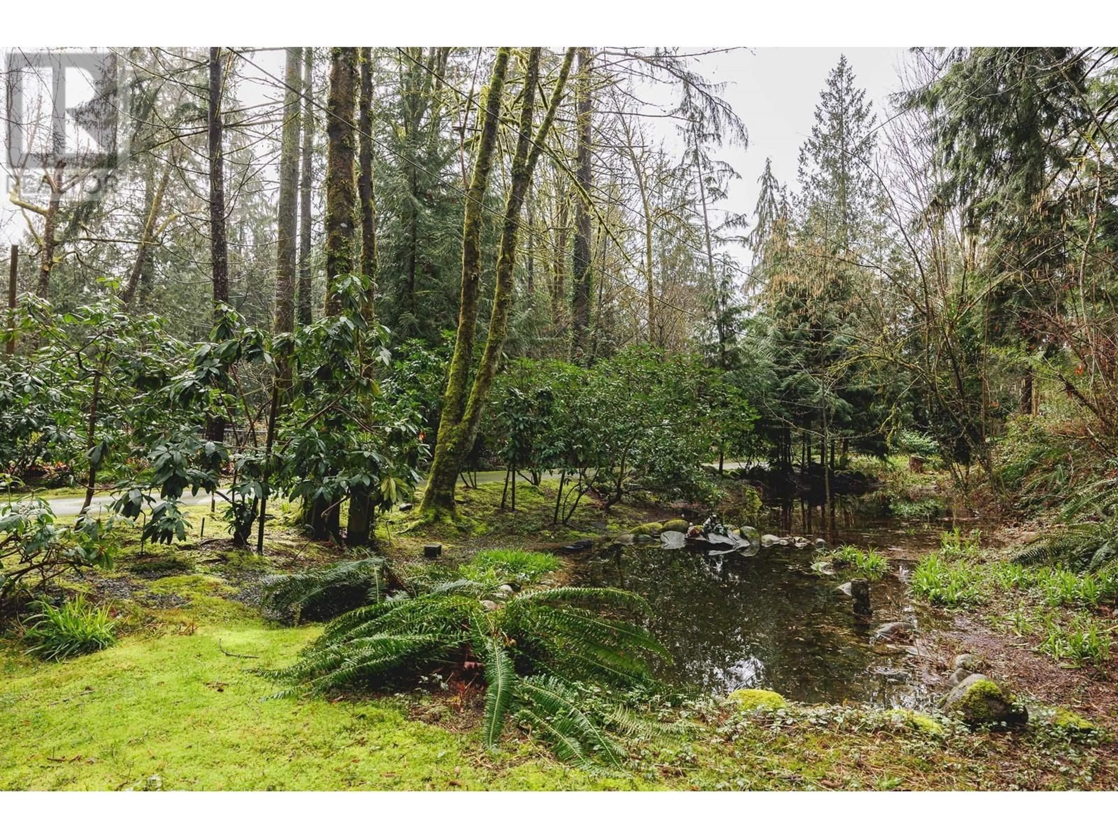 A pic from outside/outdoor area/front of a property/back of a property/a pic from drone, forest/trees view for 23801 128 CRESCENT, Maple Ridge British Columbia V4R1P5