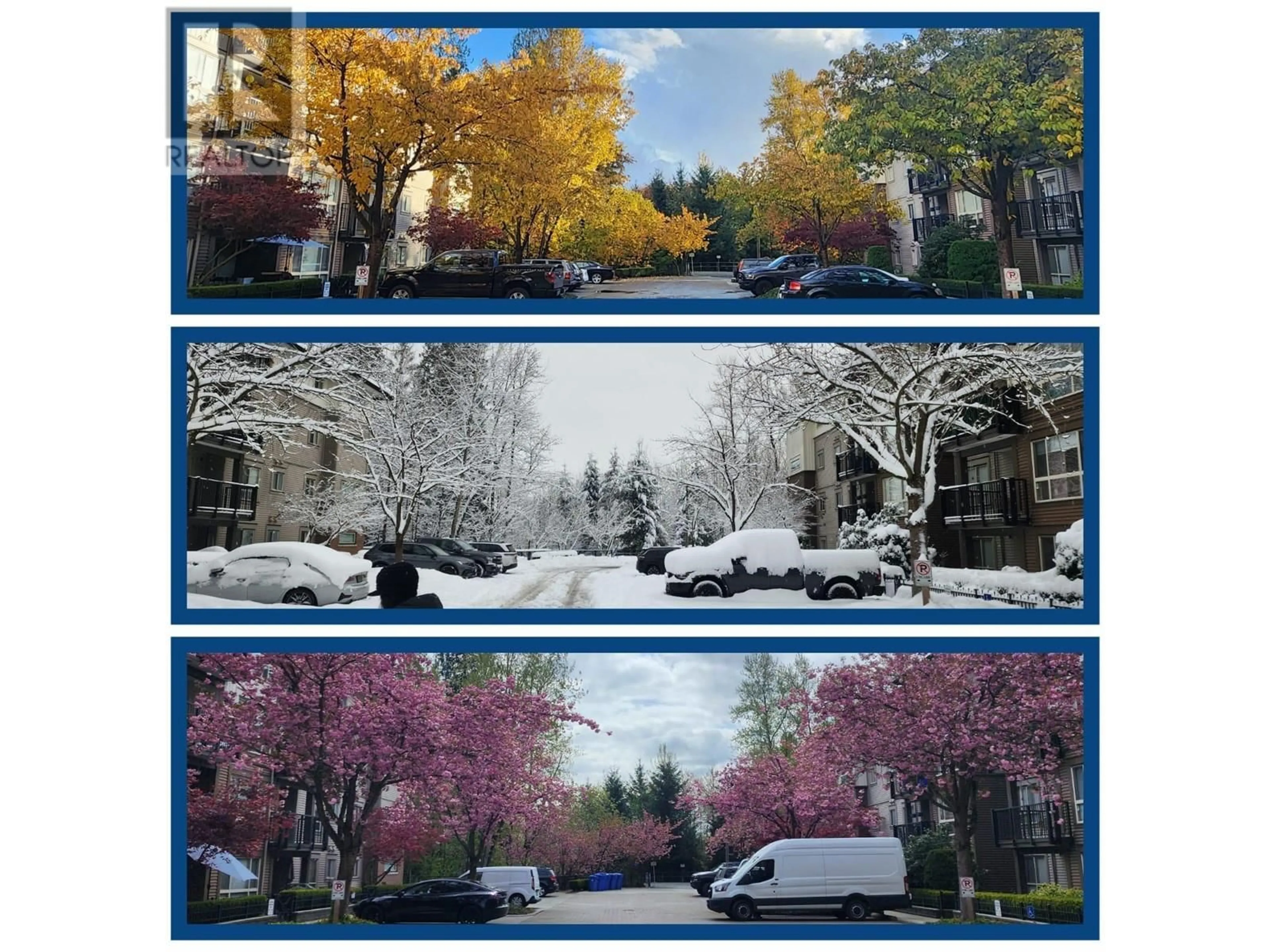 Blurry image for 101 - 11665 HANEY, Maple Ridge British Columbia V2X8W9