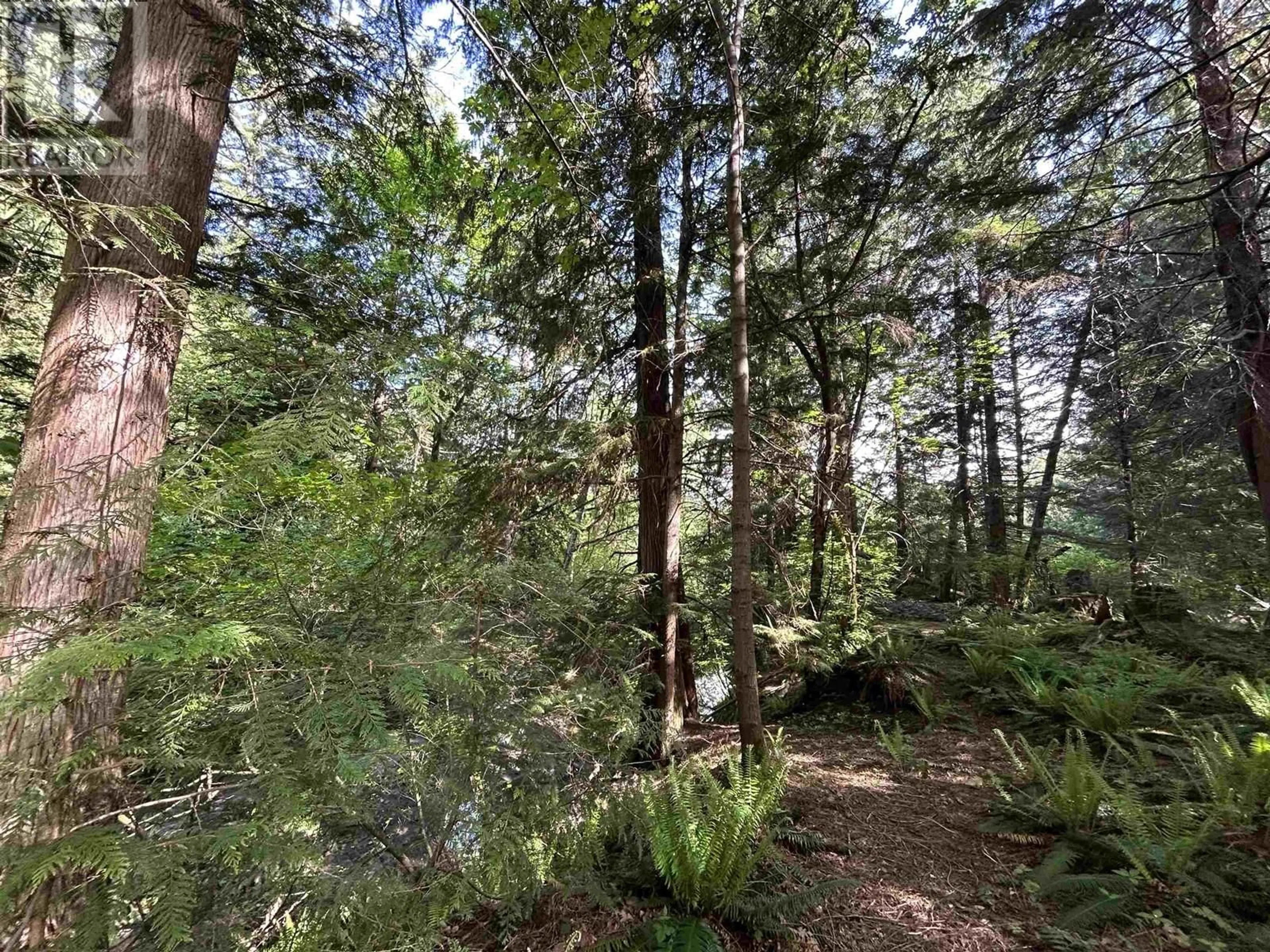 Unknown for 9063 PARADISE VALLEY ROAD, Squamish British Columbia V0N1T0