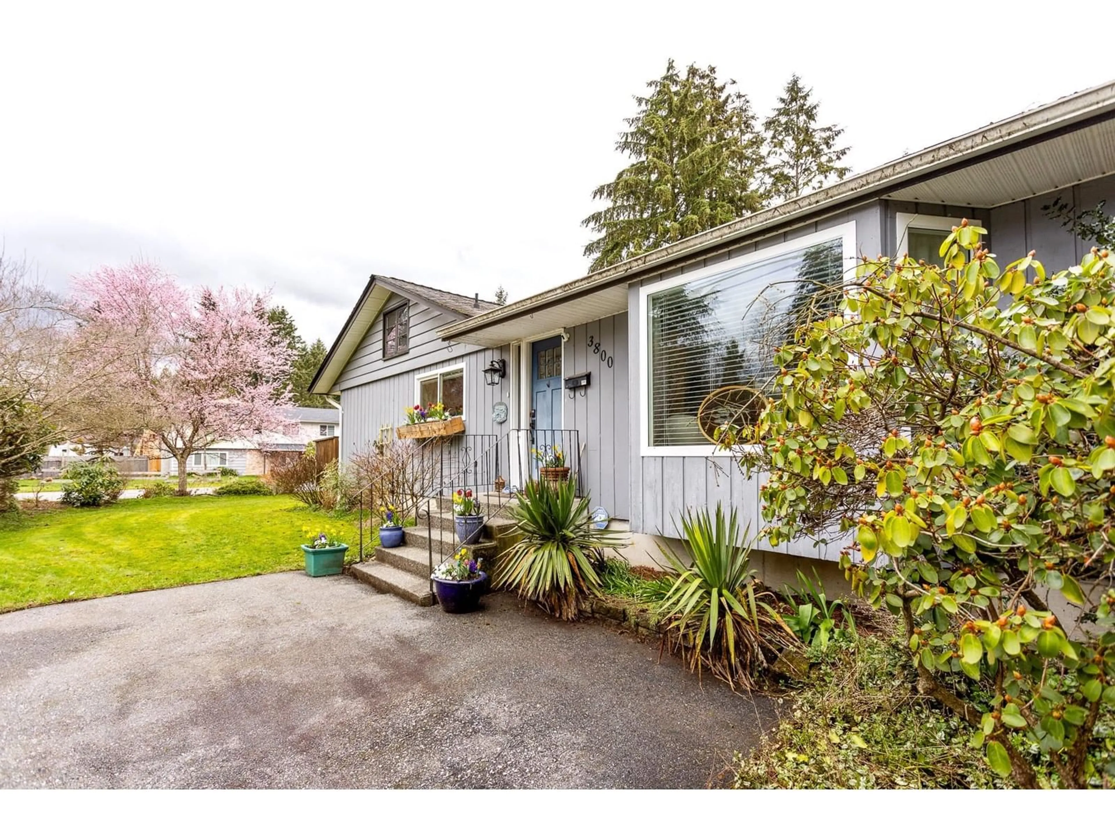 Home with vinyl exterior material, street for 3800 204, Langley British Columbia V3A1X4