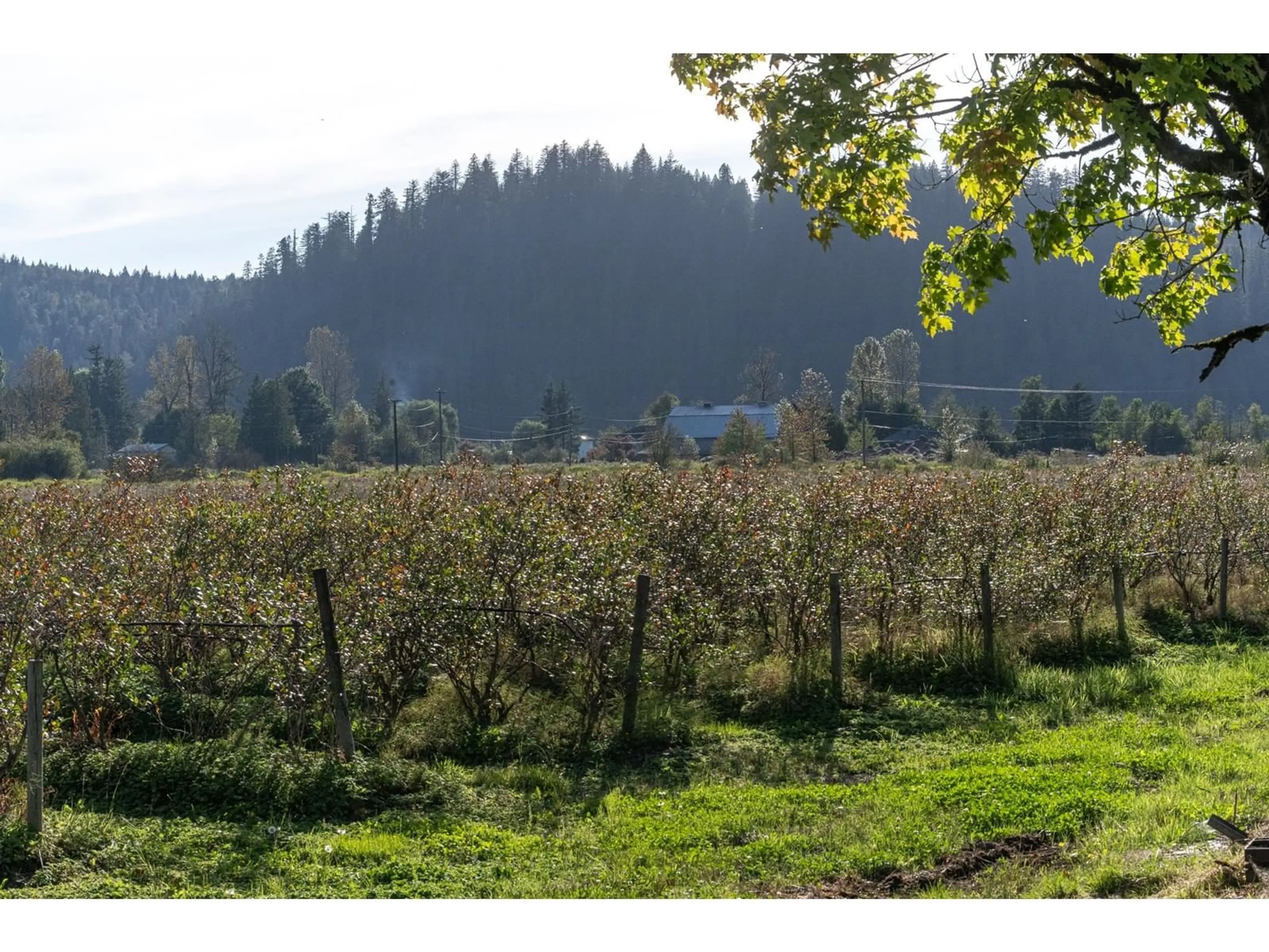 Blurry image for 10594 FARMS ROAD, Mission British Columbia V2V4J1