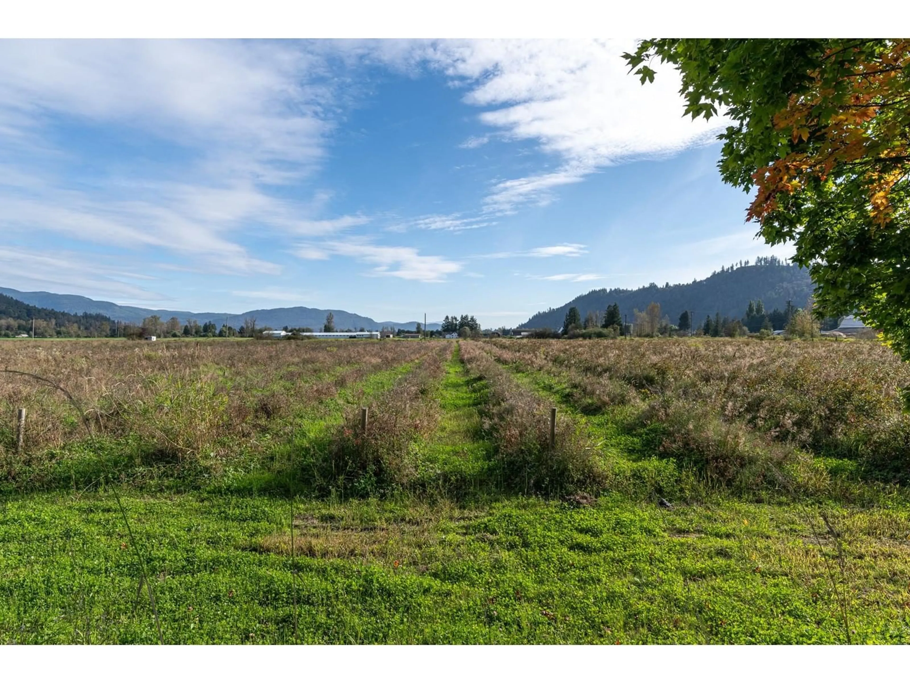 A pic from outside/outdoor area/front of a property/back of a property/a pic from drone, mountain view for 10594 FARMS ROAD, Mission British Columbia V2V4J1