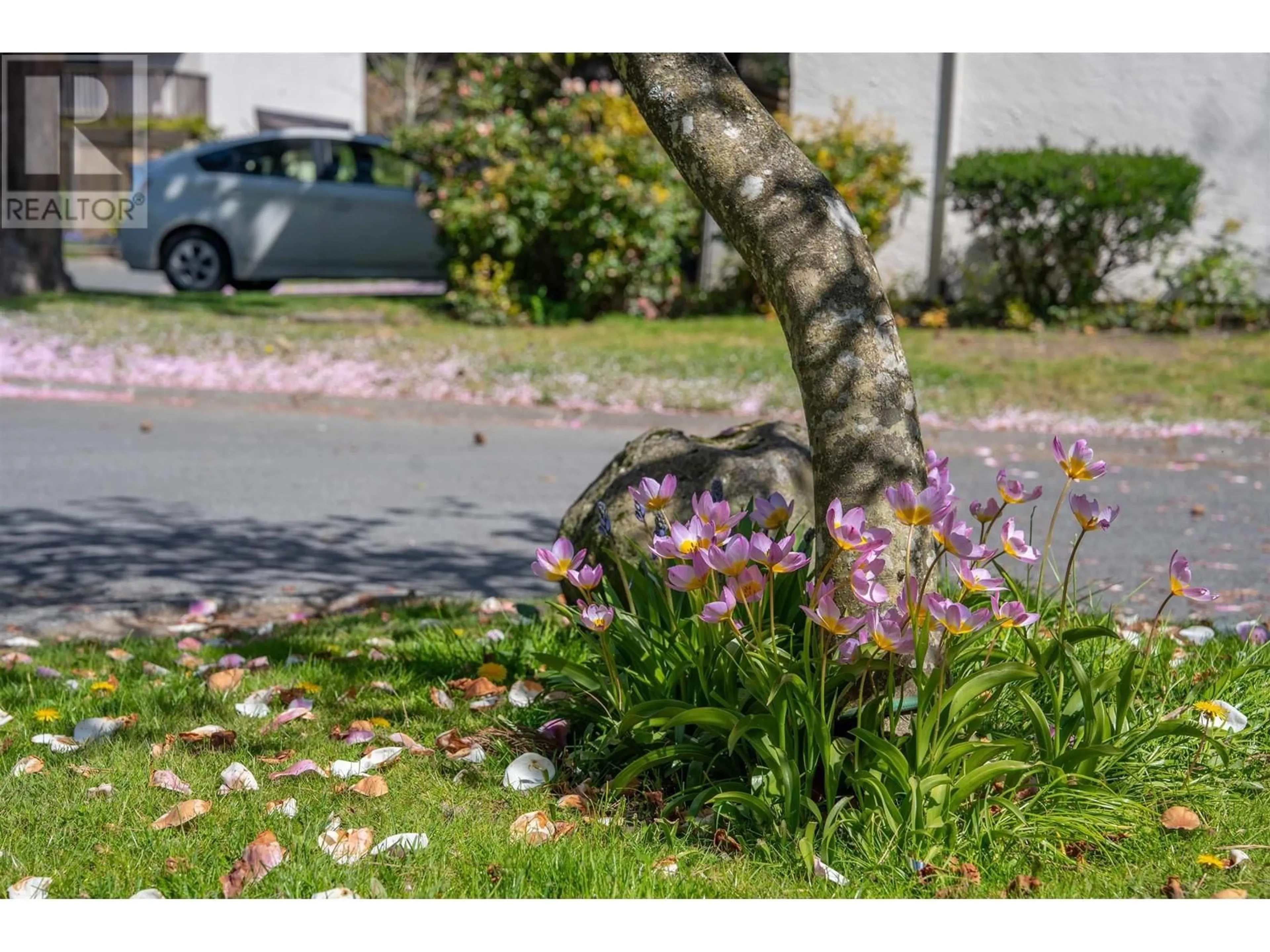 Blurry image for 71 - 11491 7TH AVENUE, Richmond British Columbia V7E4J5