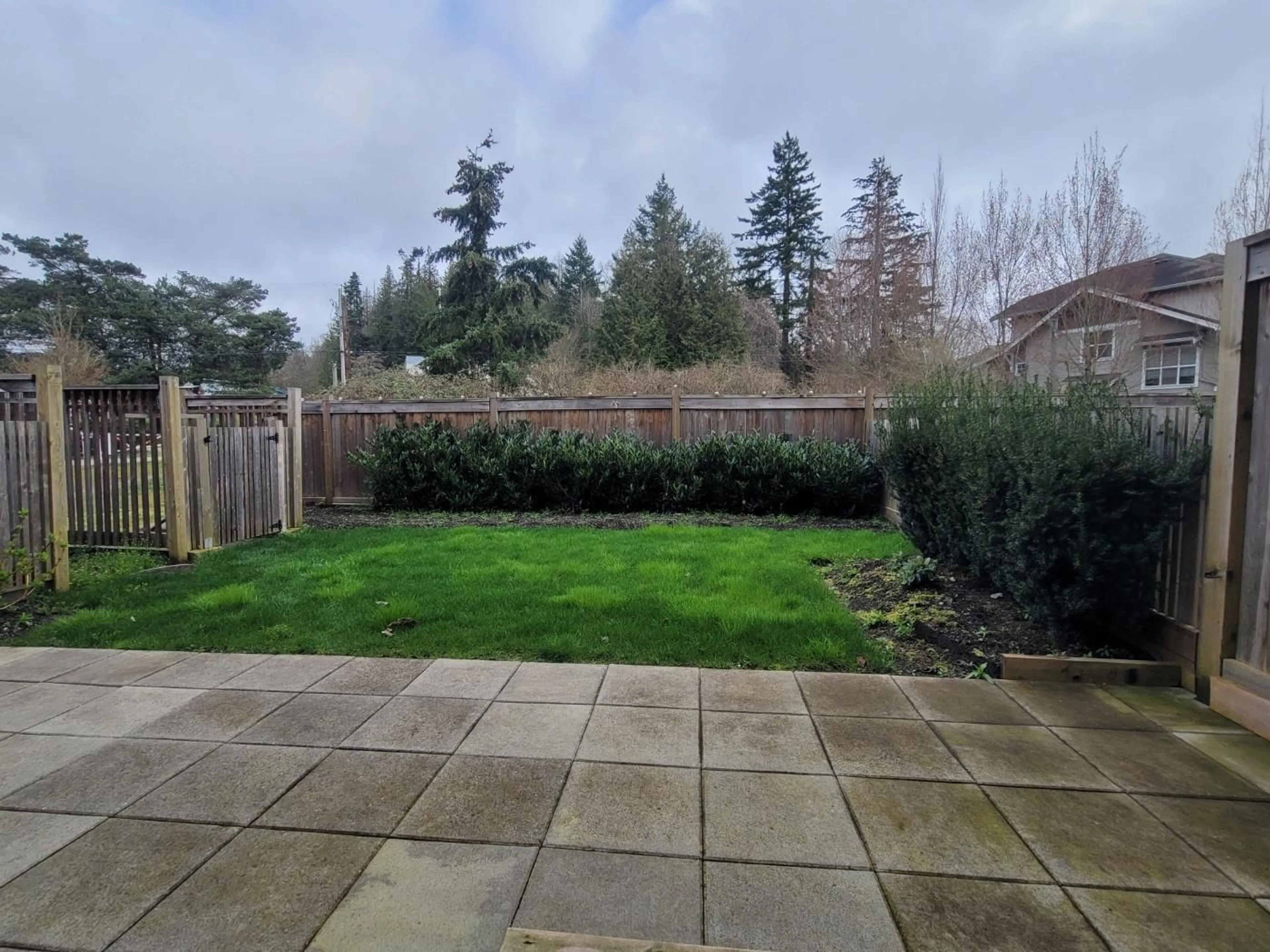 A pic from outside/outdoor area/front of a property/back of a property/a pic from drone, forest/trees view for 50 - 20487 65, Langley British Columbia V2Y3K8