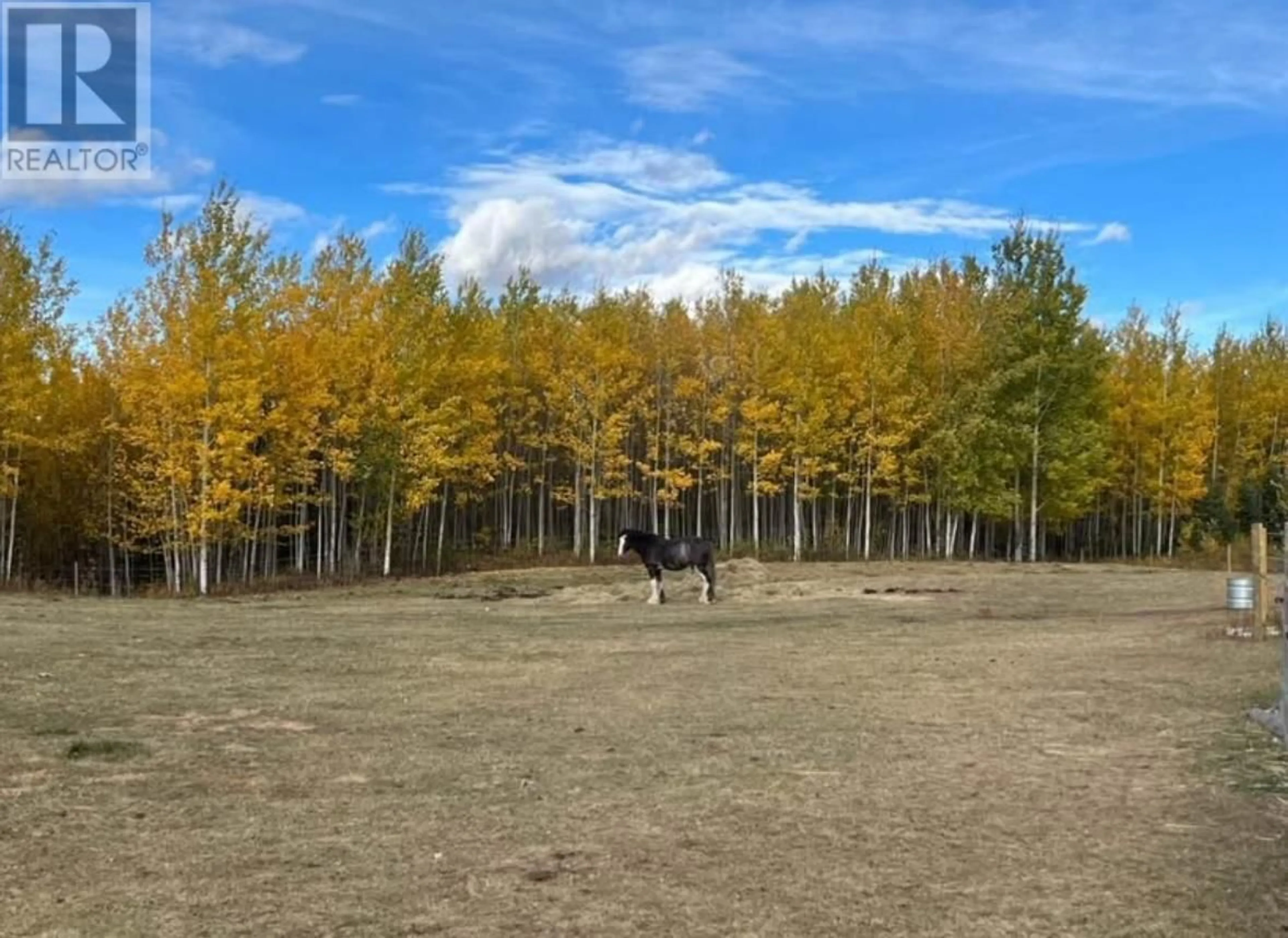 A pic from outside/outdoor area/front of a property/back of a property/a pic from drone, forest/trees view for 4312 245 ROAD, South Peace British Columbia V1G0J4