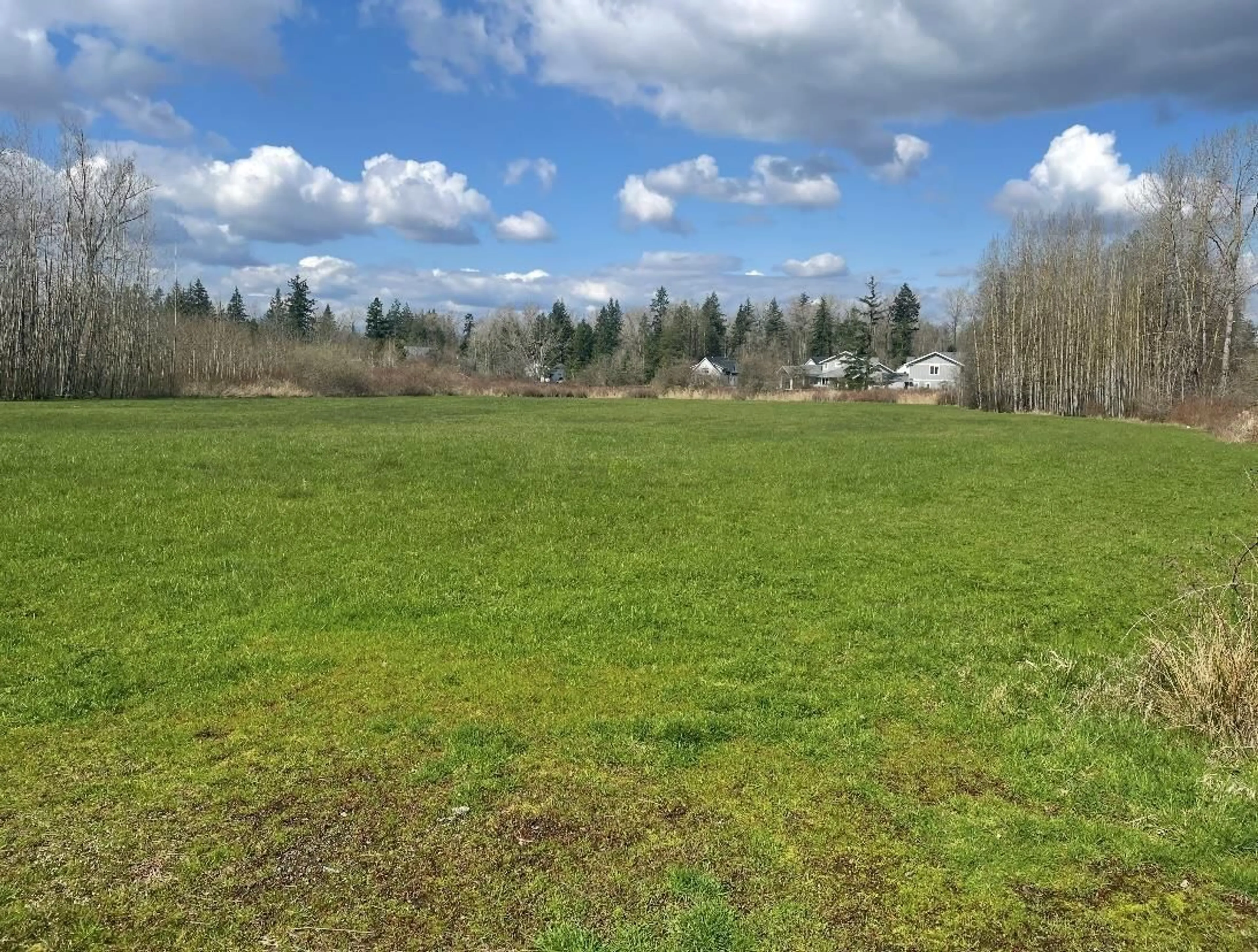 A pic from outside/outdoor area/front of a property/back of a property/a pic from drone, forest/trees view for 22389 56, Langley British Columbia V2Y2M8