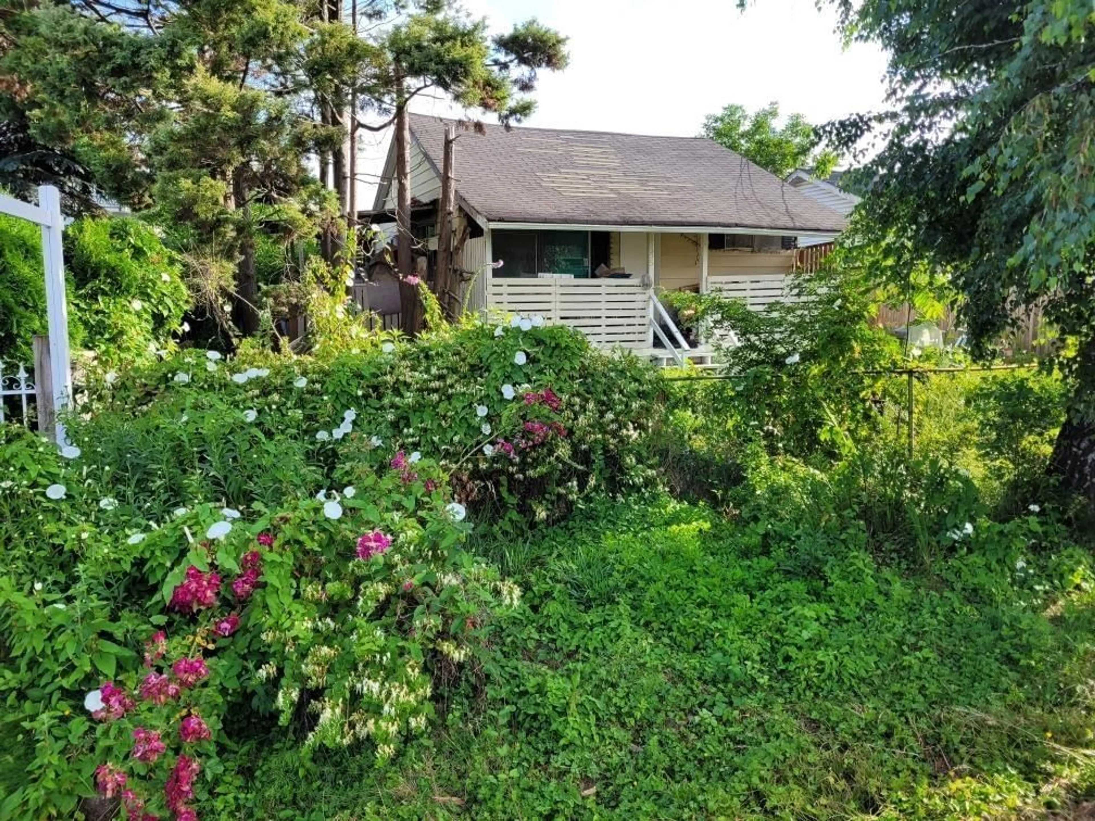 Shed for 12695 113B, Surrey British Columbia V3V3N2