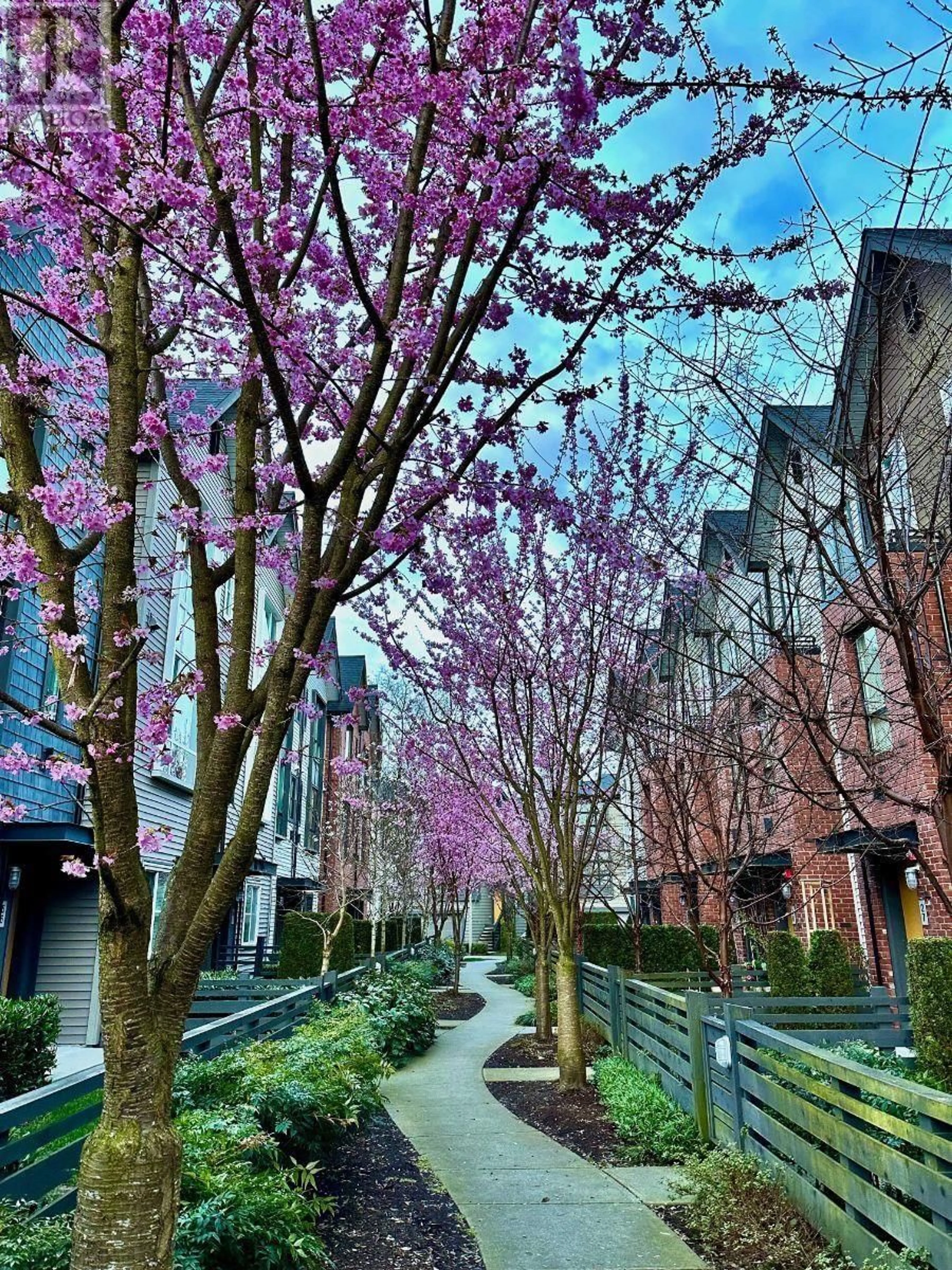 Patio, street for 53 - 2380 RANGER LANE, Port Coquitlam British Columbia V3B0M4