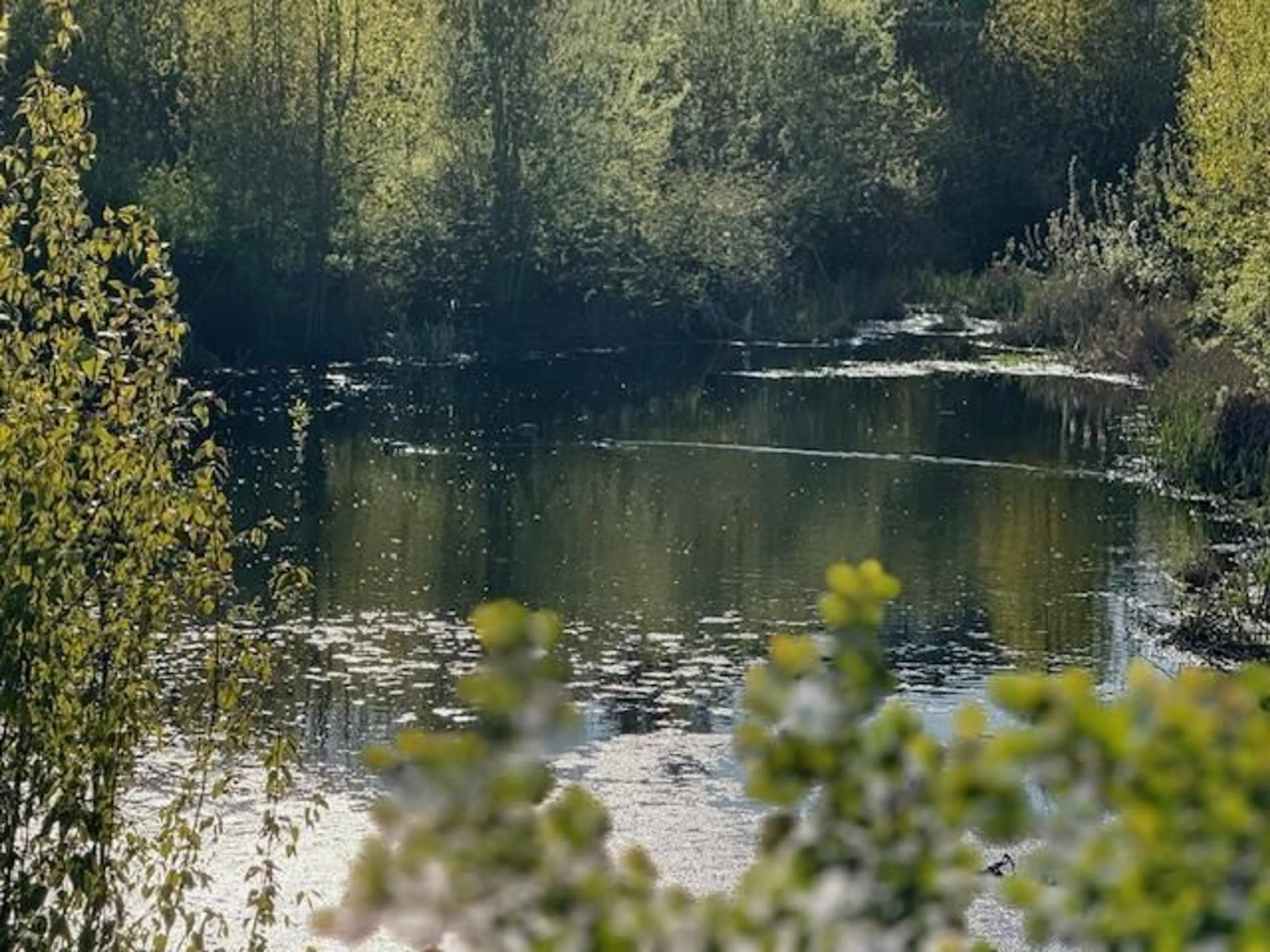 Blurry image for 20 - 19128 65, Surrey British Columbia V4N6P2