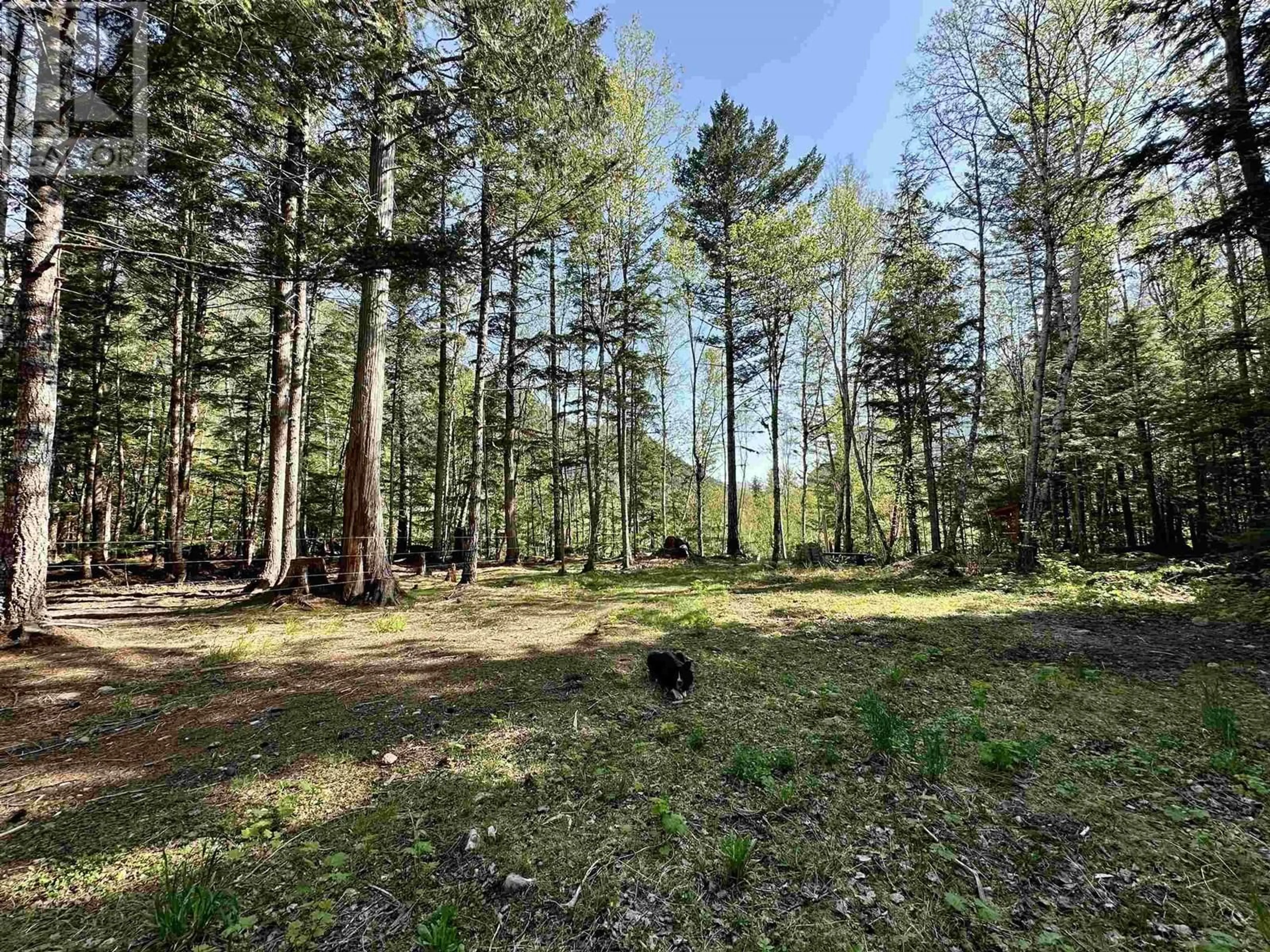 A pic from outside/outdoor area/front of a property/back of a property/a pic from drone, forest/trees view for 2860 HALF MOON DRIVE, Hagensborg British Columbia V0T1H0