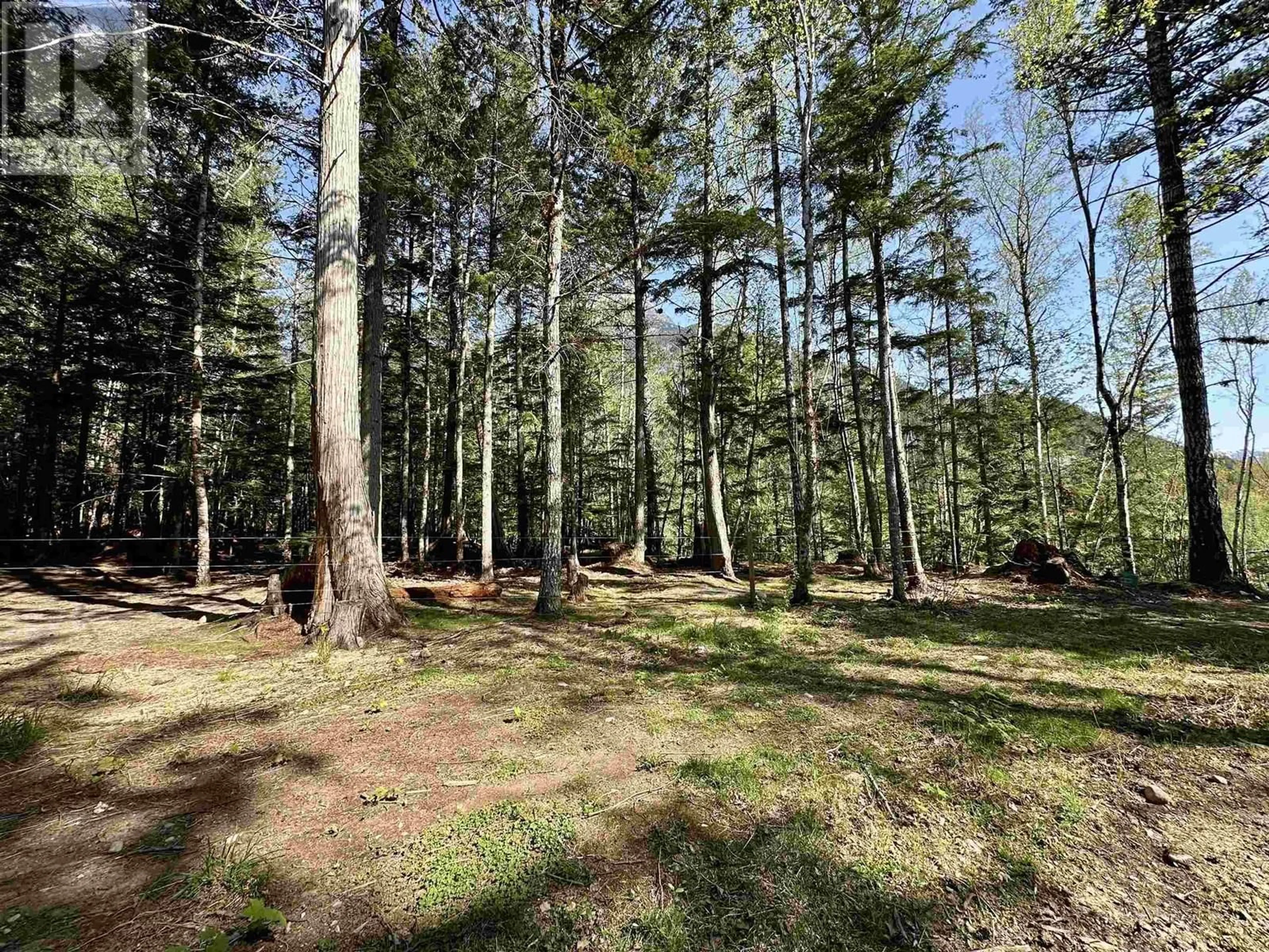 A pic from outside/outdoor area/front of a property/back of a property/a pic from drone, forest/trees view for 2860 HALF MOON DRIVE, Hagensborg British Columbia V0T1H0