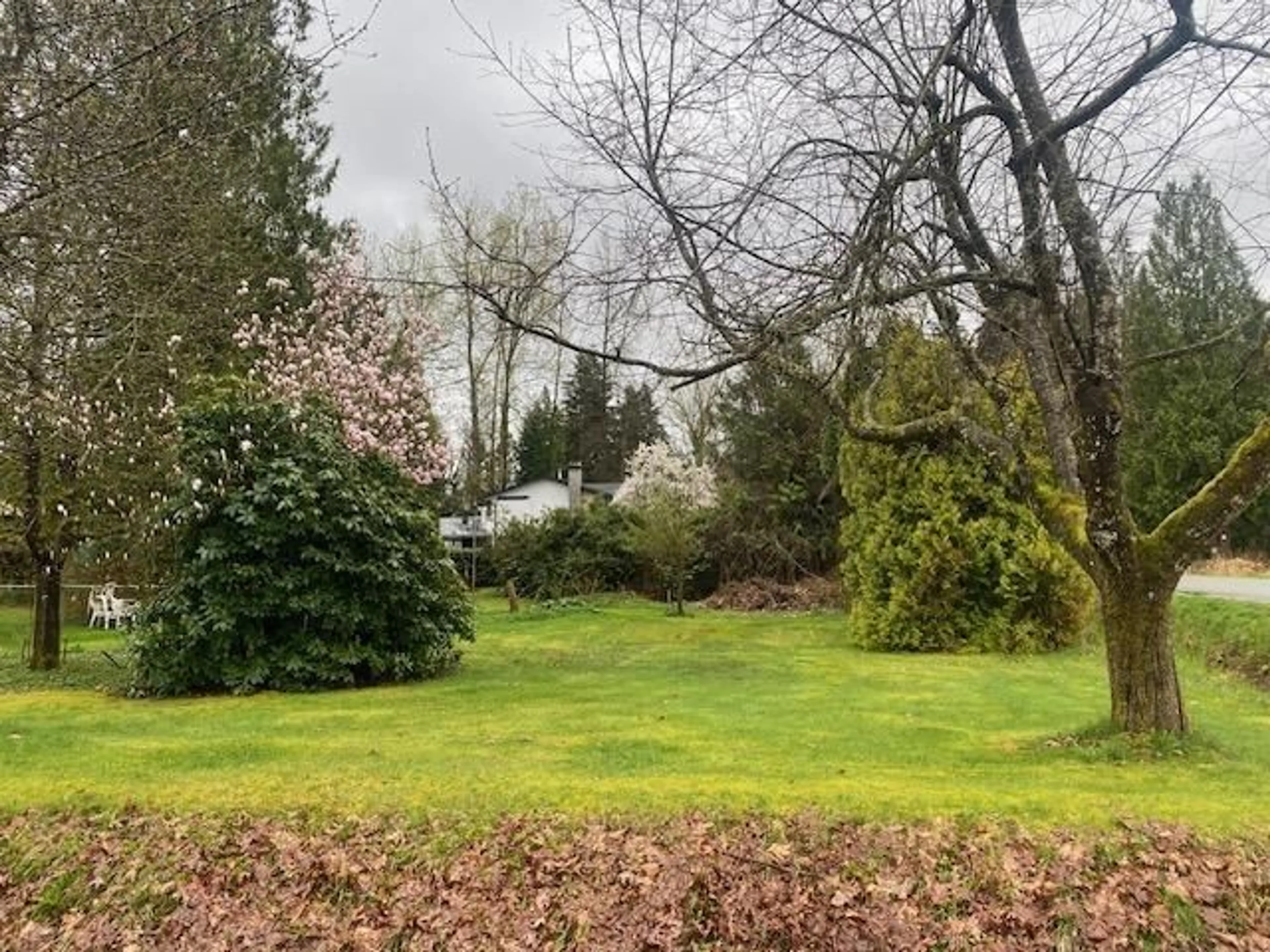 A pic from outside/outdoor area/front of a property/back of a property/a pic from drone, forest/trees view for 32614 LAMINMAN, Mission British Columbia V4S1A8