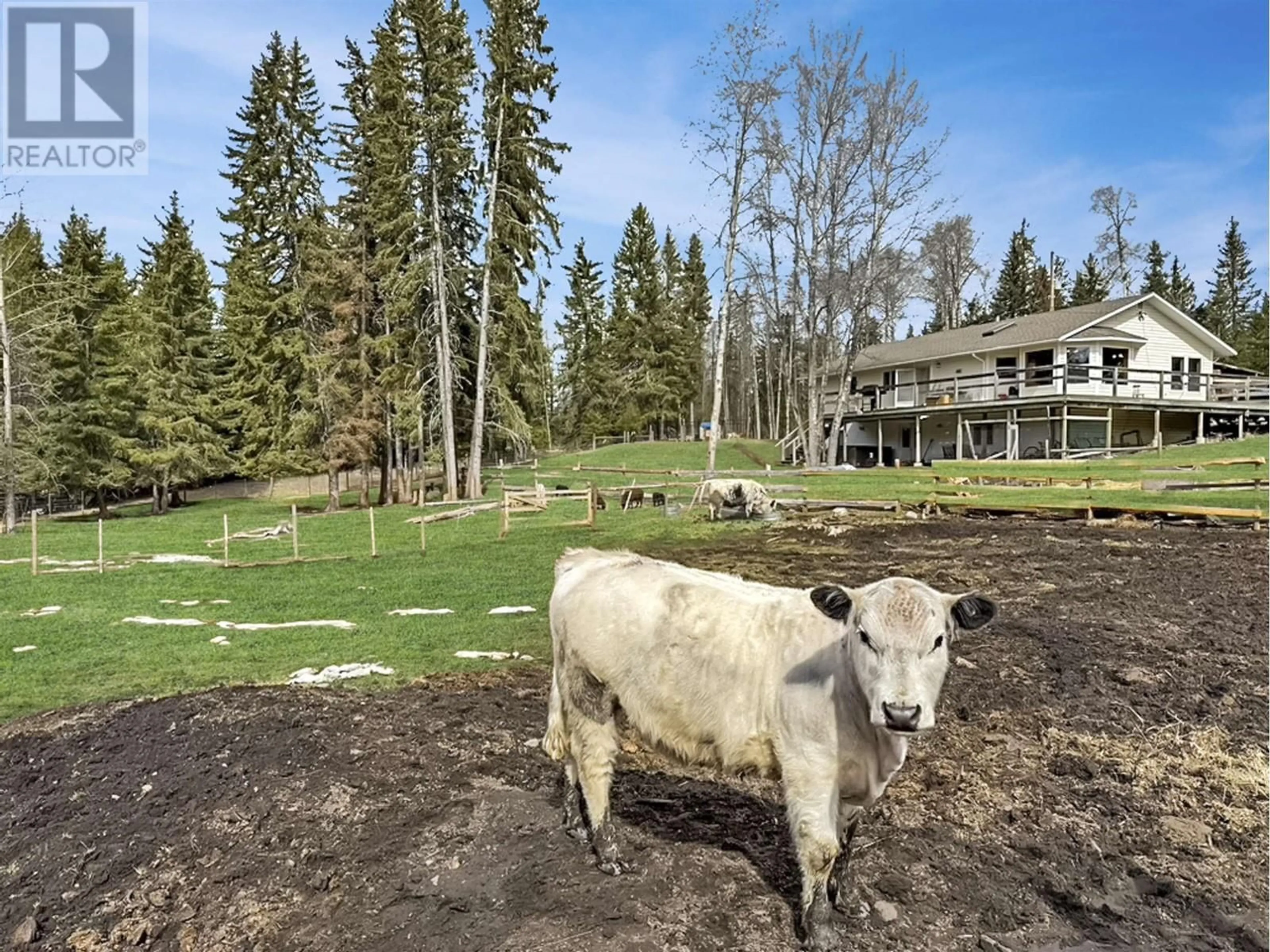A pic from outside/outdoor area/front of a property/back of a property/a pic from drone, mountain view for 3736 SPOKIN LAKE ROAD, 150 Mile House British Columbia V0K2G0