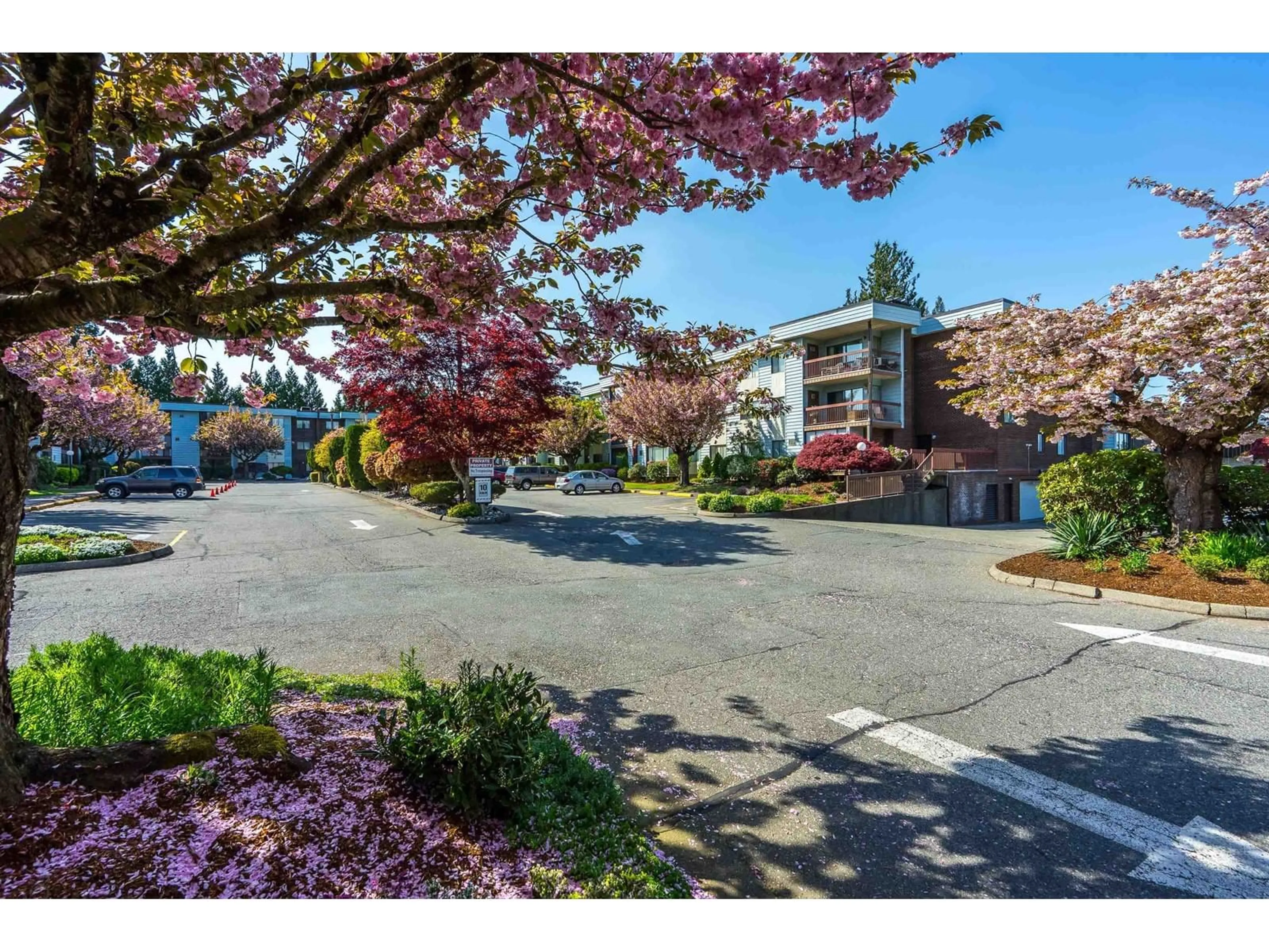 A pic from outside/outdoor area/front of a property/back of a property/a pic from drone, street for 331 - 2279 MCCALLUM, Abbotsford British Columbia V2S6J1