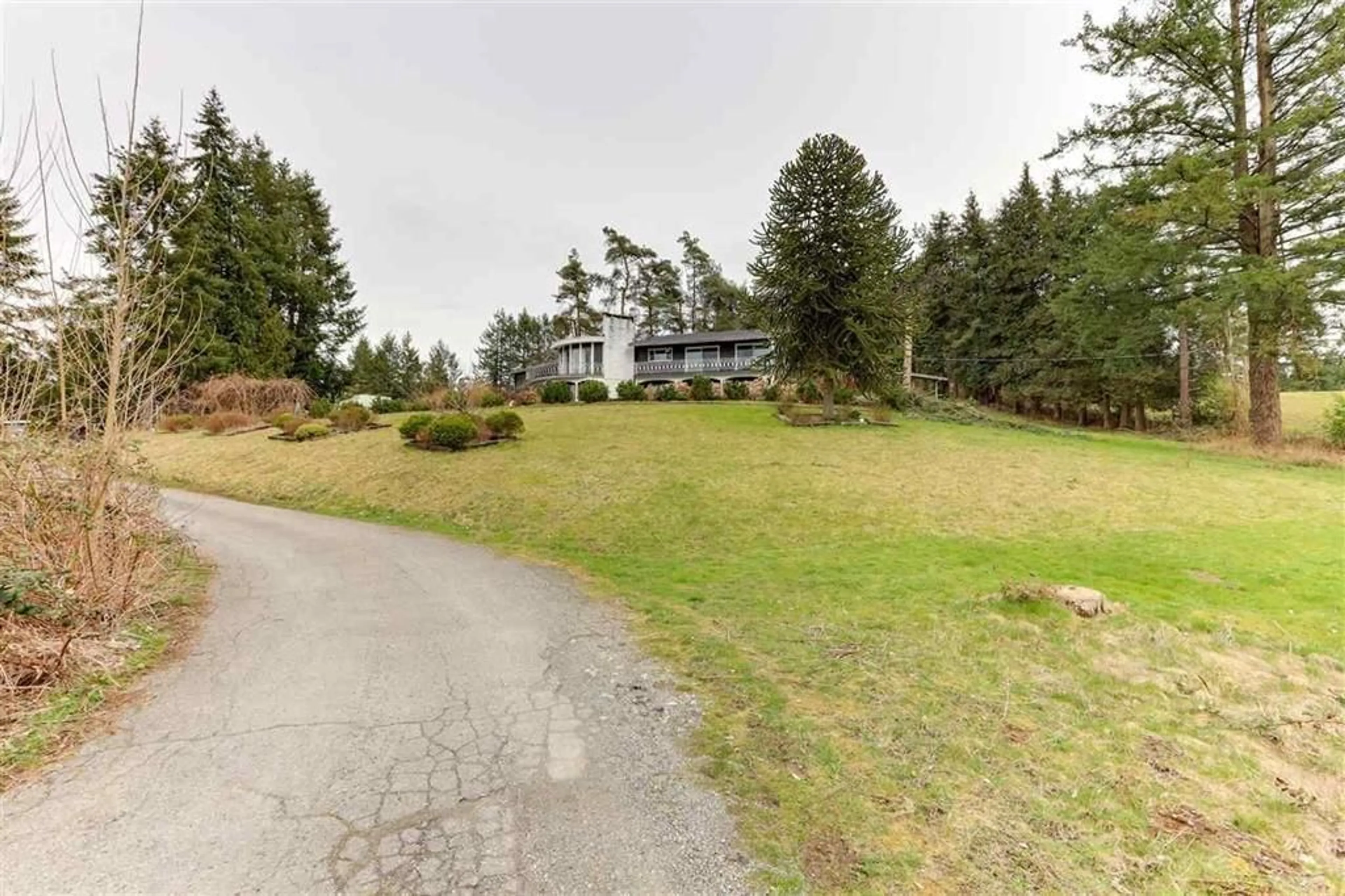A pic from outside/outdoor area/front of a property/back of a property/a pic from drone, forest/trees view for 4708 232, Langley British Columbia V2Z2S1