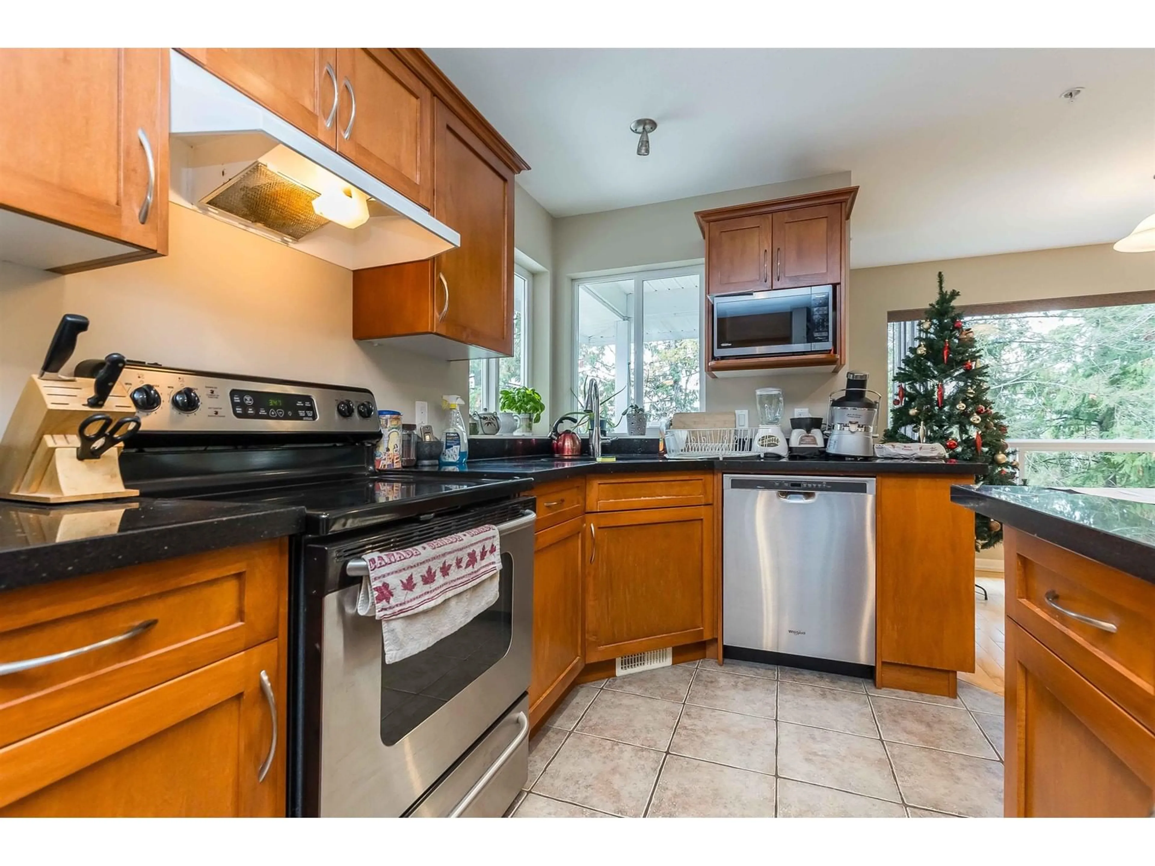 Standard kitchen, unknown for 7227 BRYANT PLACE, Chilliwack British Columbia V4Z1K4
