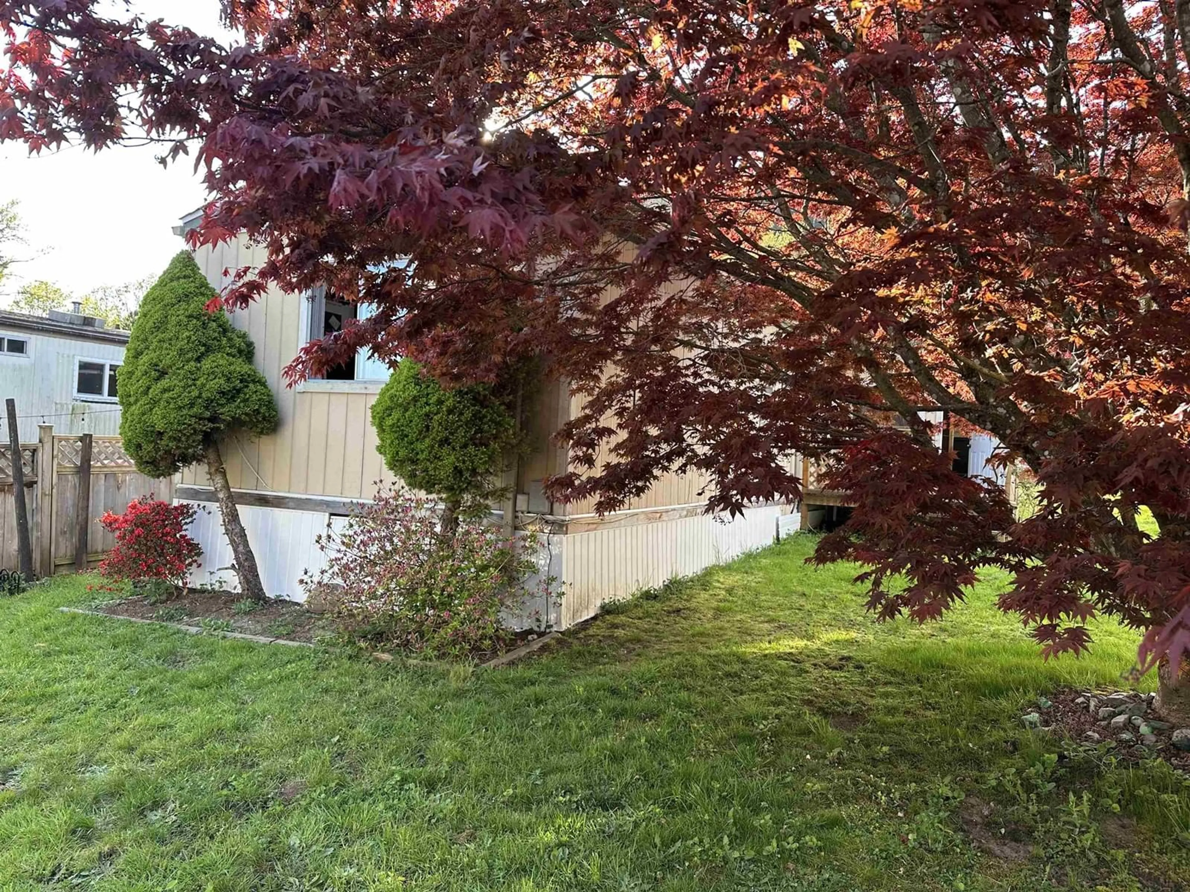 A pic from outside/outdoor area/front of a property/back of a property/a pic from drone, street for 76 - 10221 WILSON, Mission British Columbia V4S1L8