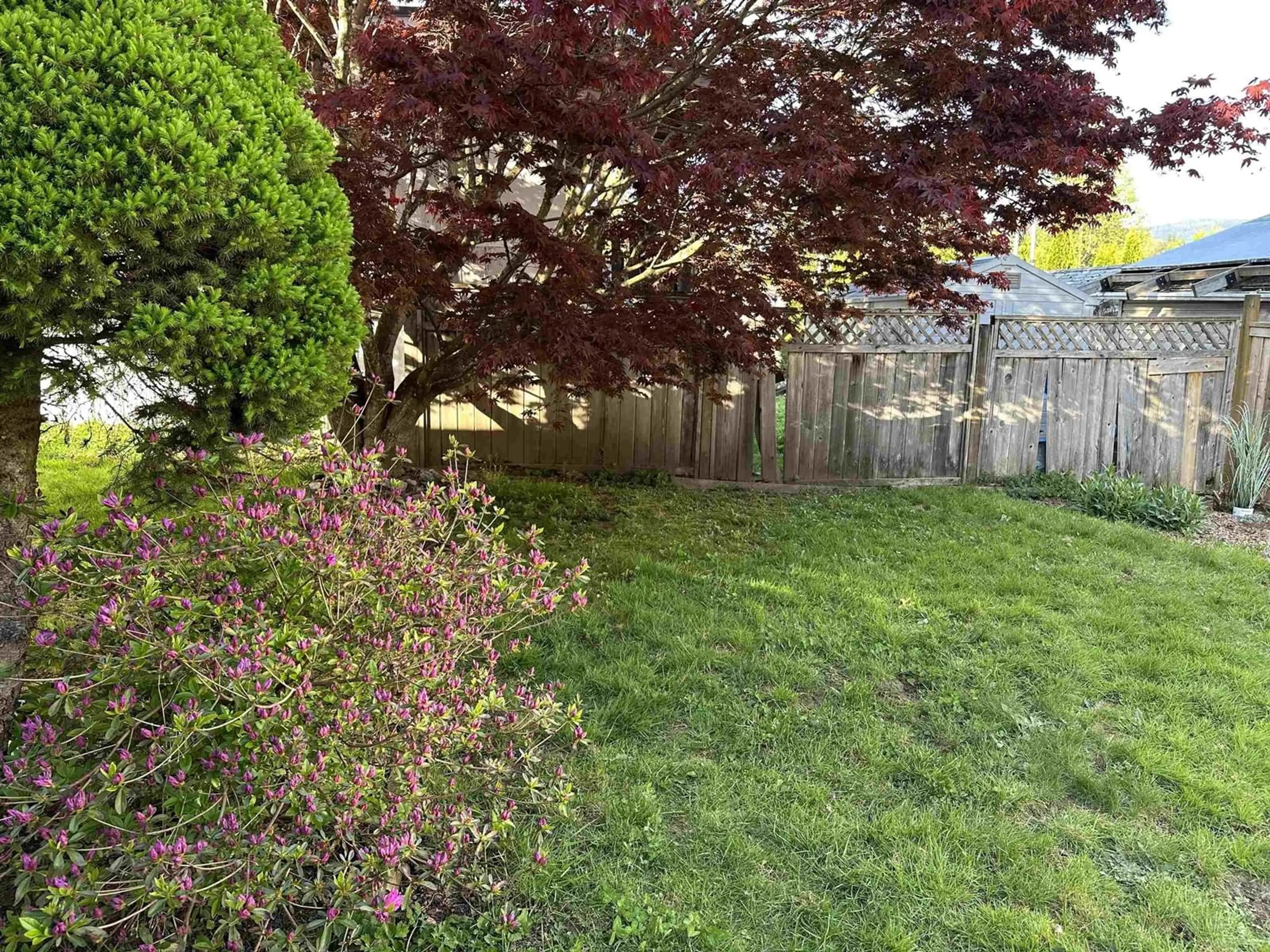 A pic from outside/outdoor area/front of a property/back of a property/a pic from drone, forest/trees view for 76 - 10221 WILSON, Mission British Columbia V4S1L8