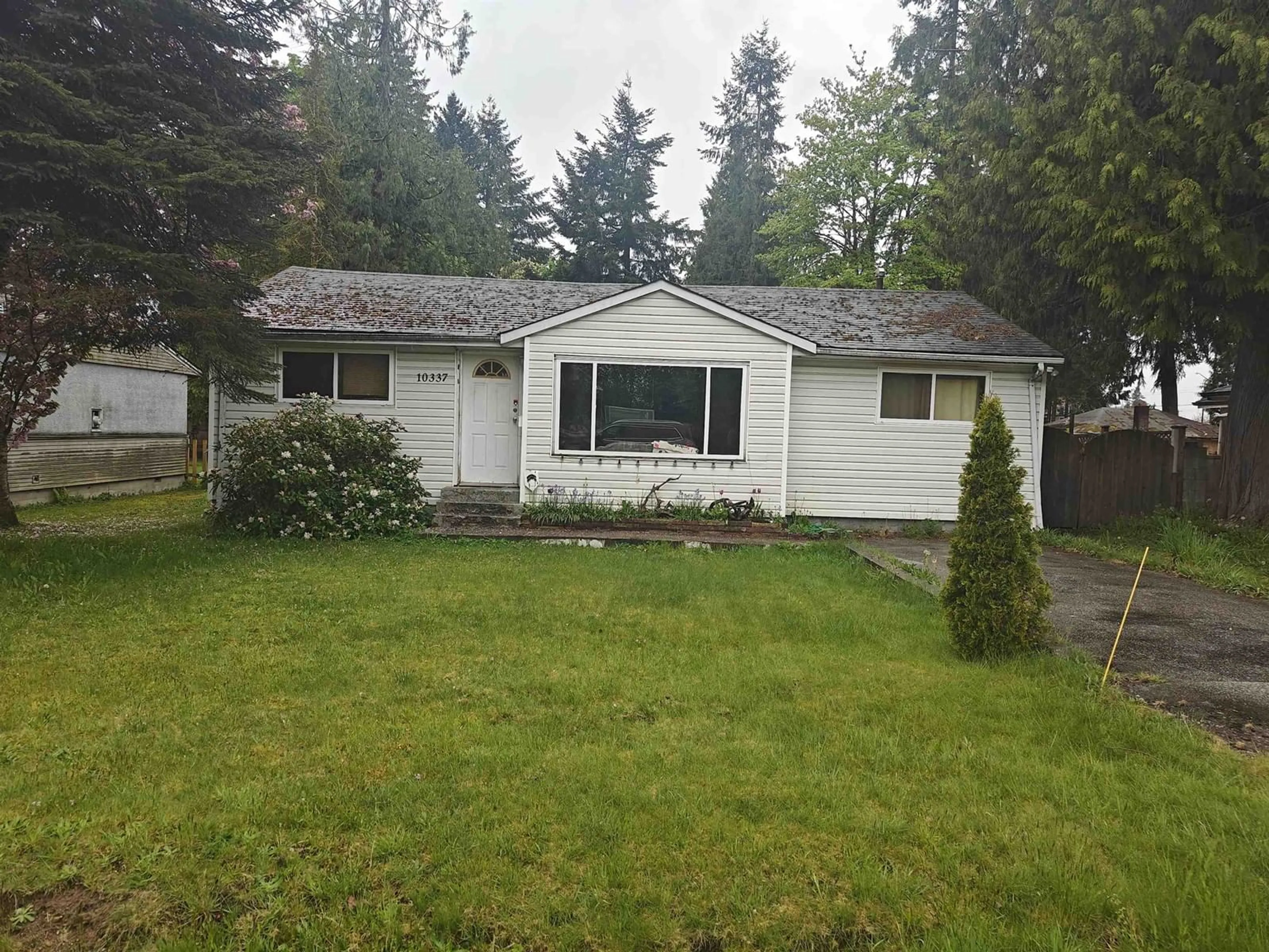 Shed for 10337 146, Surrey British Columbia V3R3T3