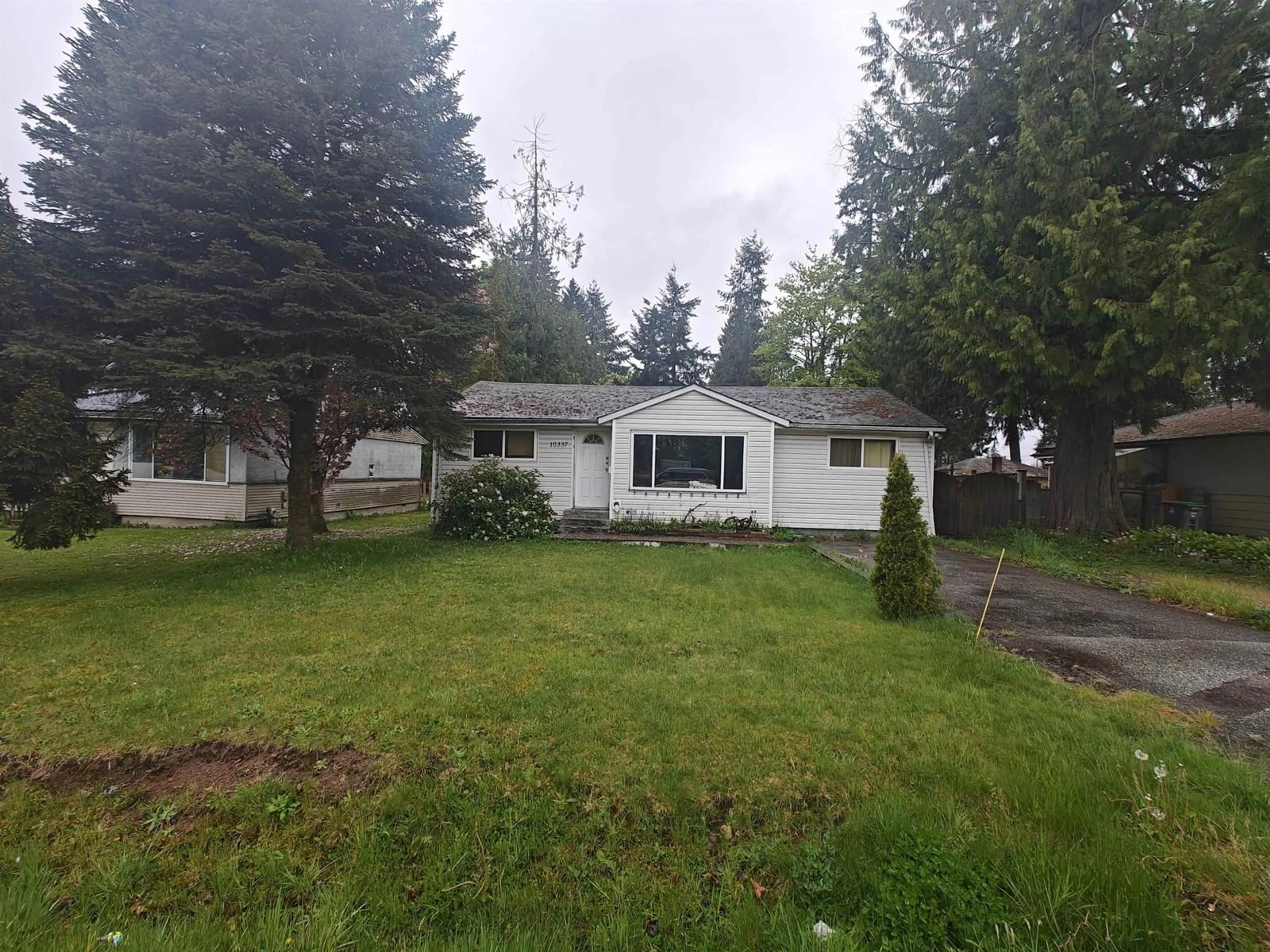 Unknown for 10337 146, Surrey British Columbia V3R3T3
