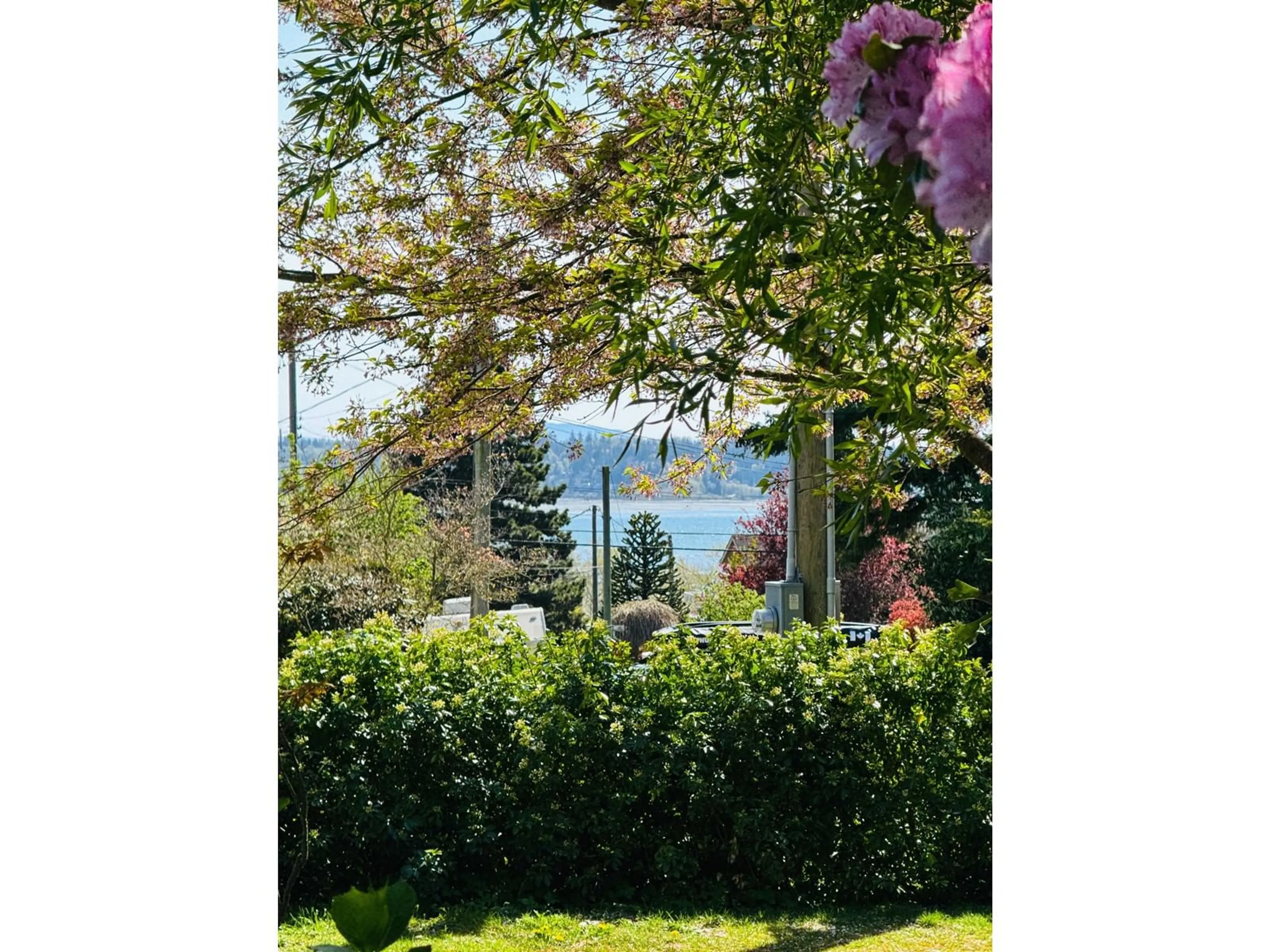 A pic from outside/outdoor area/front of a property/back of a property/a pic from drone, forest/trees view for 1056 STEVENS, White Rock British Columbia V4B4X7