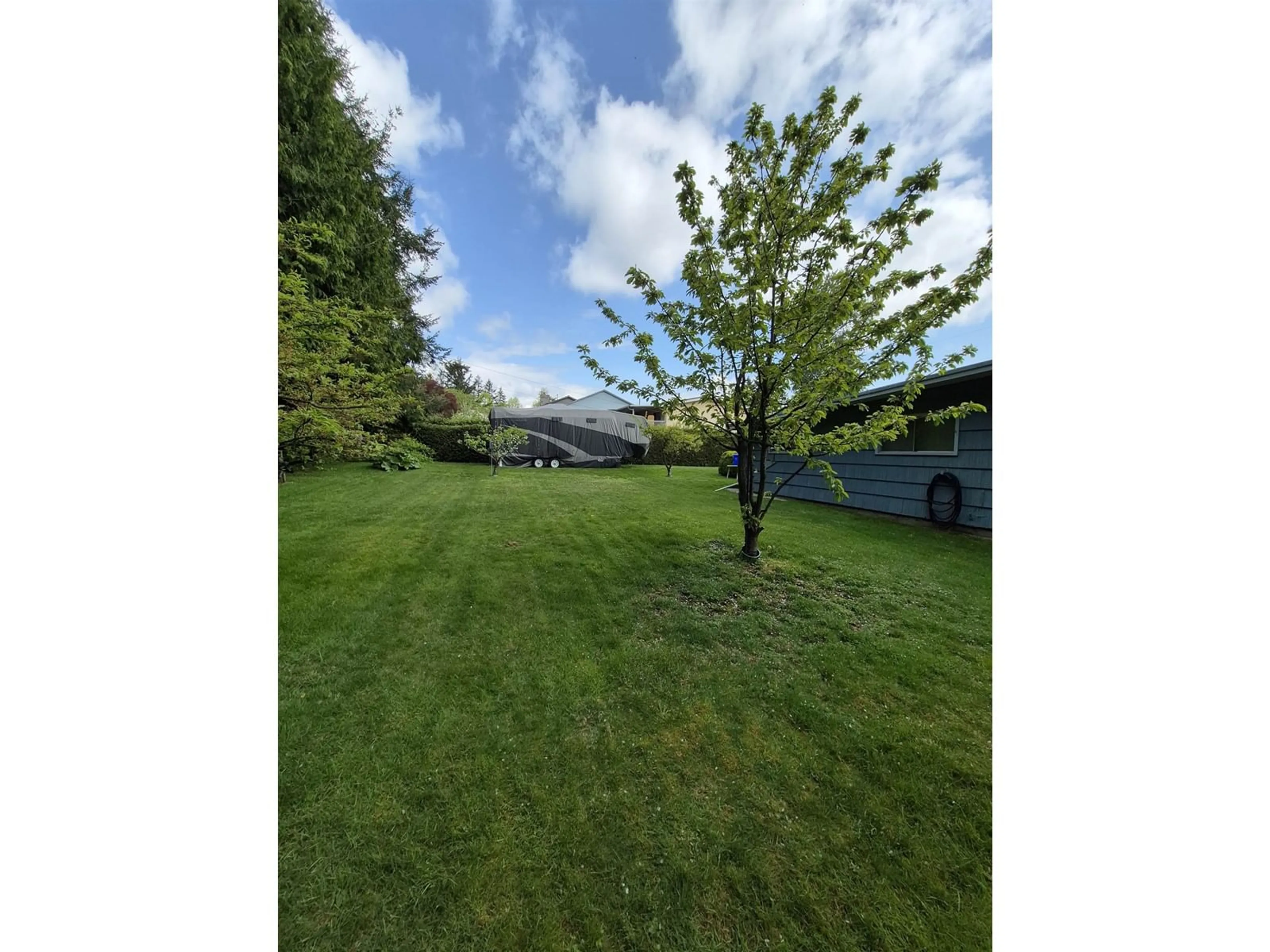 A pic from outside/outdoor area/front of a property/back of a property/a pic from drone, forest/trees view for 10587 138A, Surrey British Columbia V3T4L2