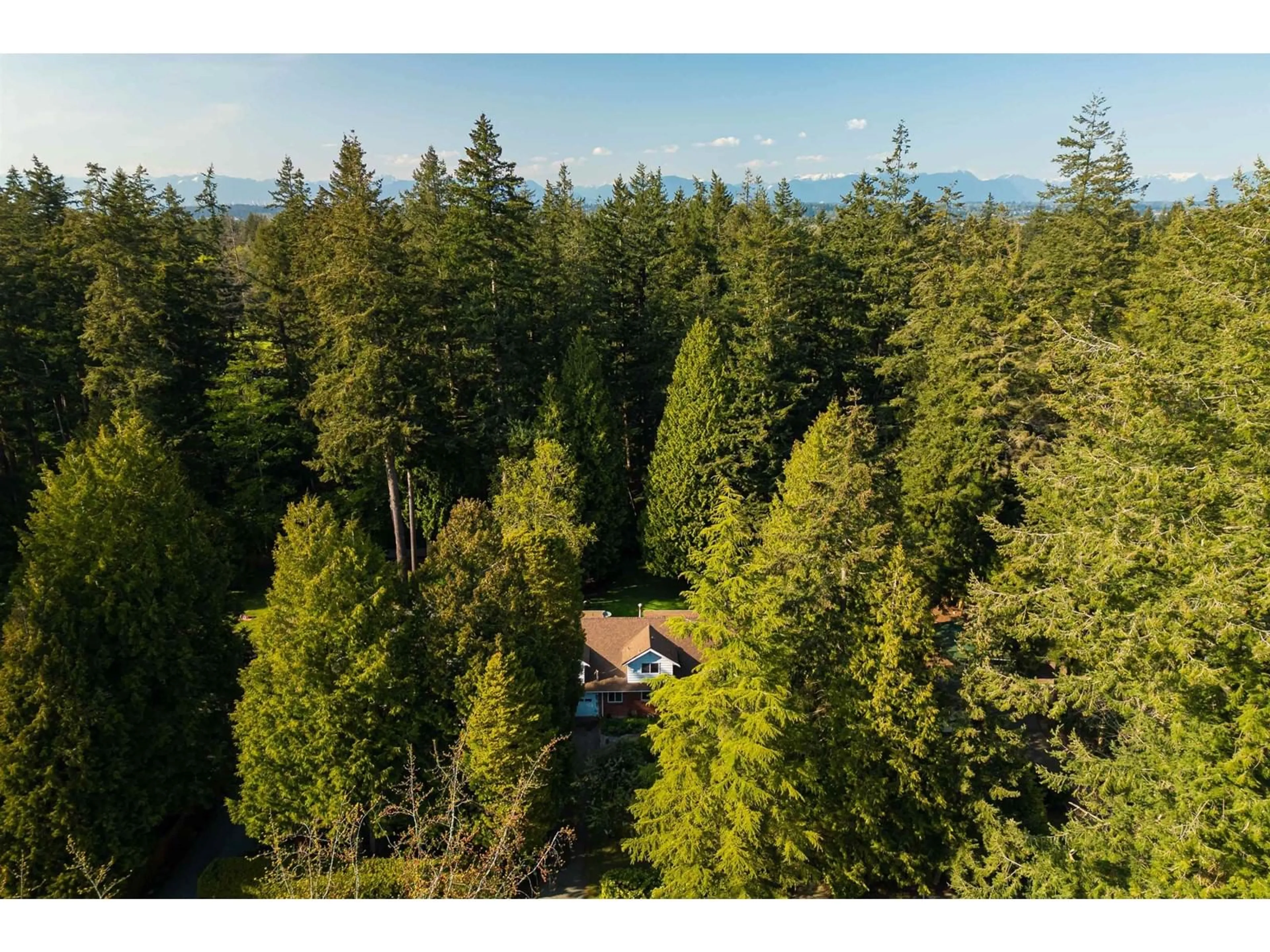 A pic from outside/outdoor area/front of a property/back of a property/a pic from drone, forest/trees view for 13181 24, Surrey British Columbia V4A2G2