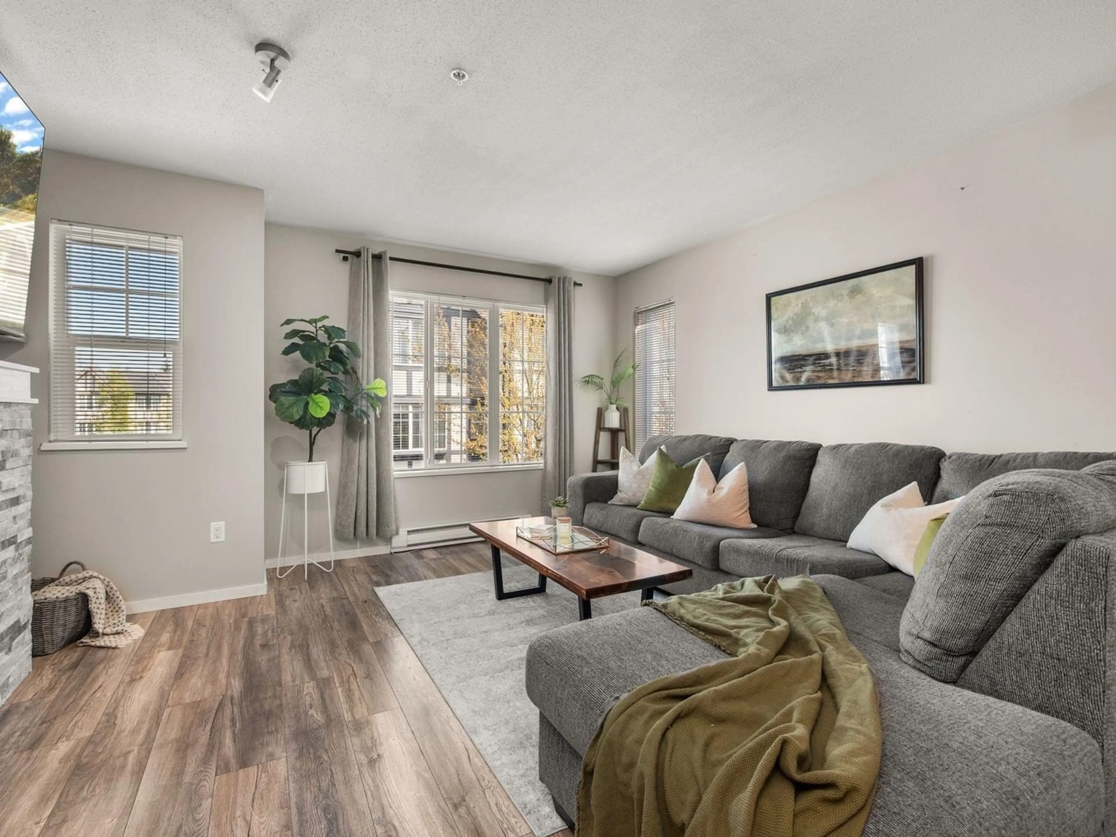 Living room with furniture, wood/laminate floor for 115 - 20875 80, Langley British Columbia V2Y0B2