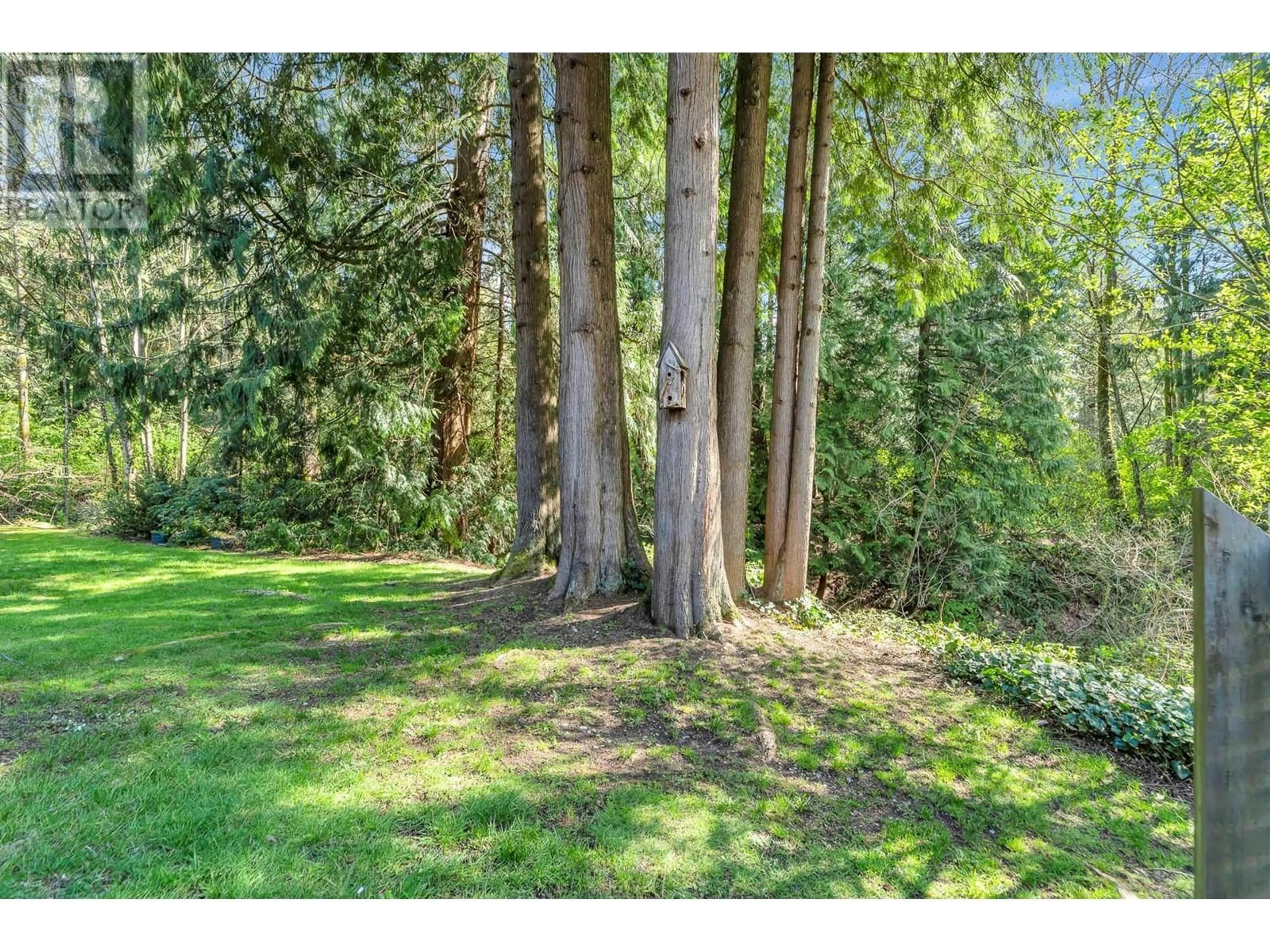 A pic from outside/outdoor area/front of a property/back of a property/a pic from drone, forest/trees view for 8577 FLOWERING PLACE, Burnaby British Columbia V5A4B4