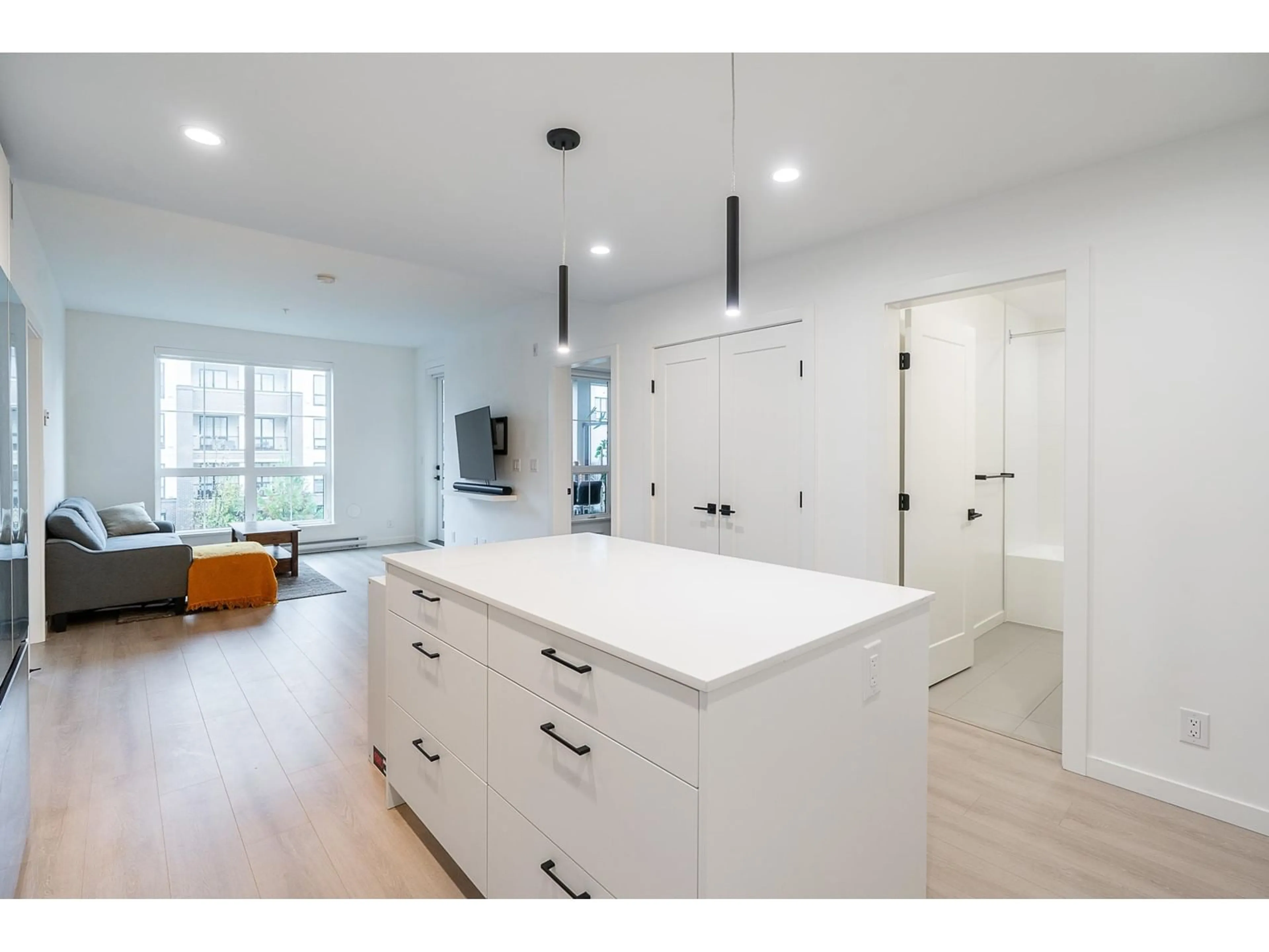 Open concept kitchen, unknown for 202 - 20077 84, Langley British Columbia V2Y3X7