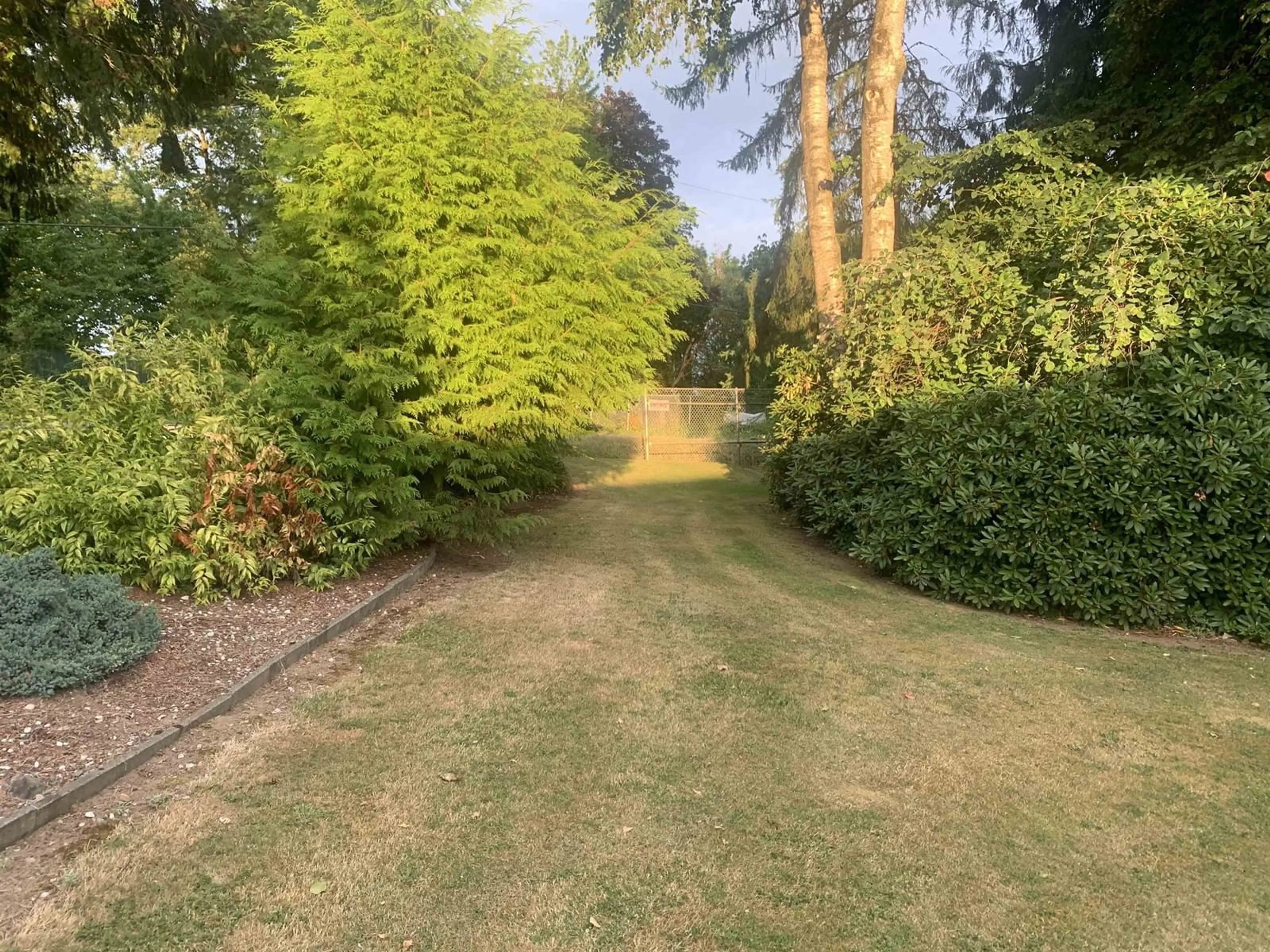 A pic from outside/outdoor area/front of a property/back of a property/a pic from drone, forest/trees view for 6863 204TH, Langley British Columbia V2Y1P8