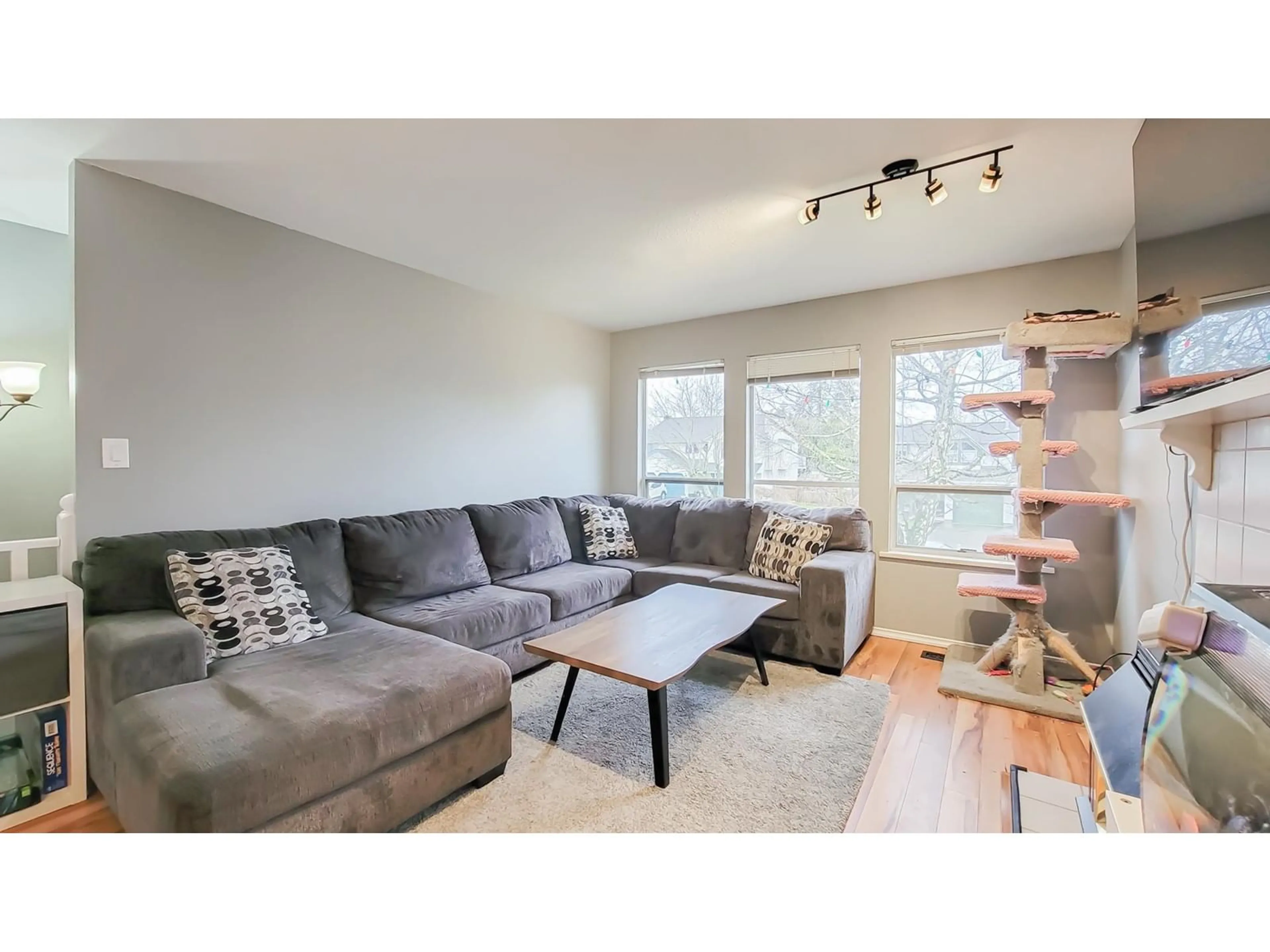 Living room with furniture, wood/laminate floor for 2724 272B STREET, Langley British Columbia V4W3K1