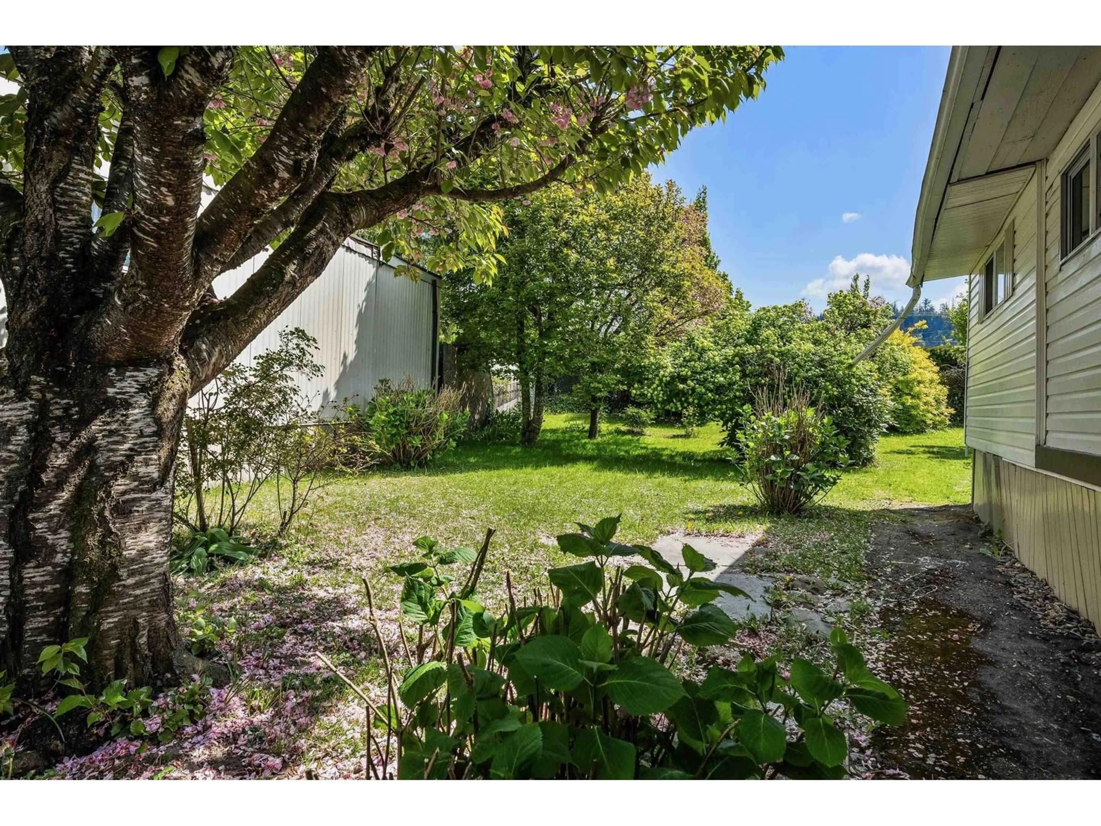 A pic from outside/outdoor area/front of a property/back of a property/a pic from drone, forest/trees view for 43 - 45640 WATSON ROAD, Chilliwack British Columbia V2R3R1