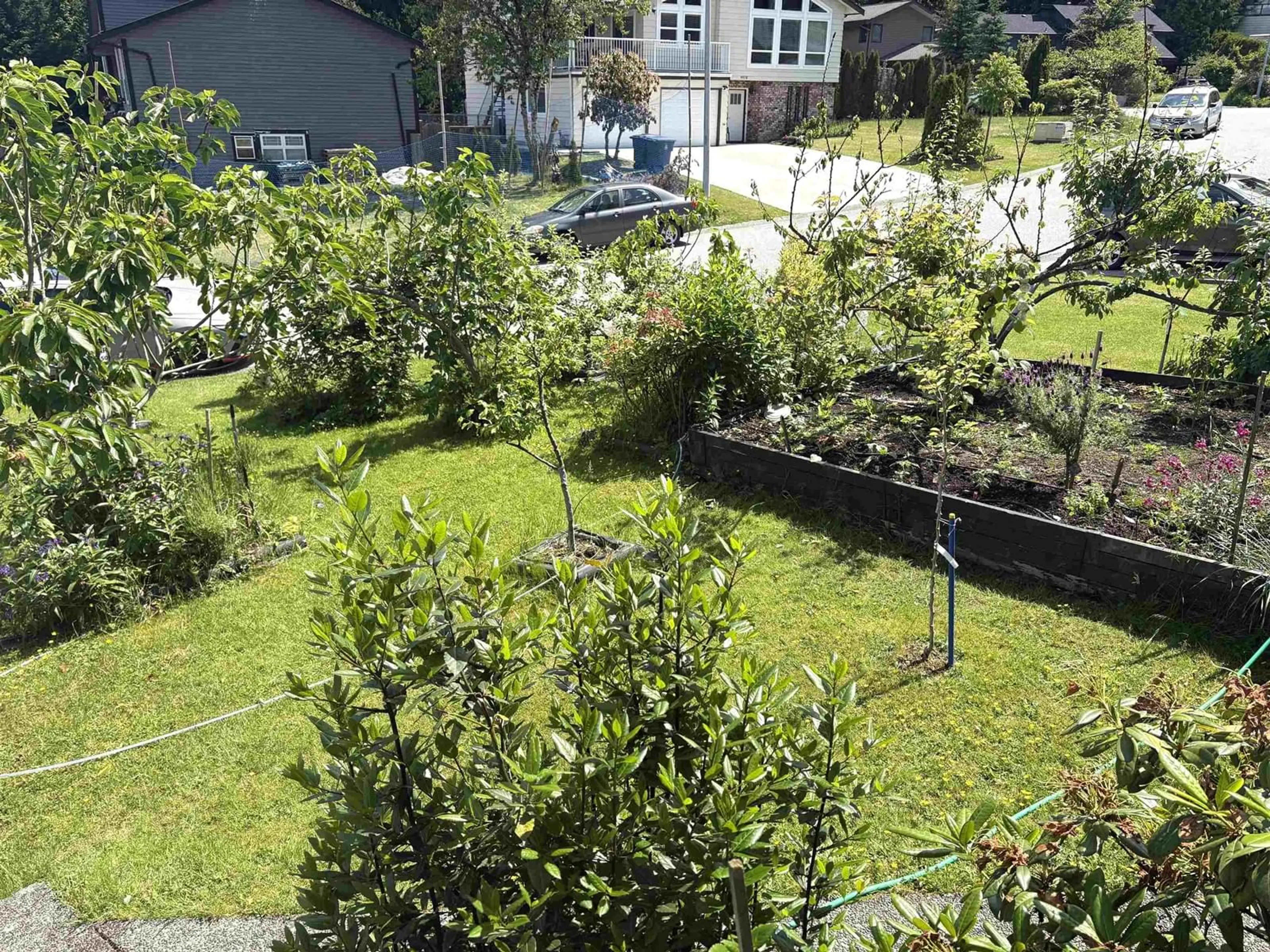 A pic from outside/outdoor area/front of a property/back of a property/a pic from drone, unknown for 9983 117, Surrey British Columbia V3V7H5