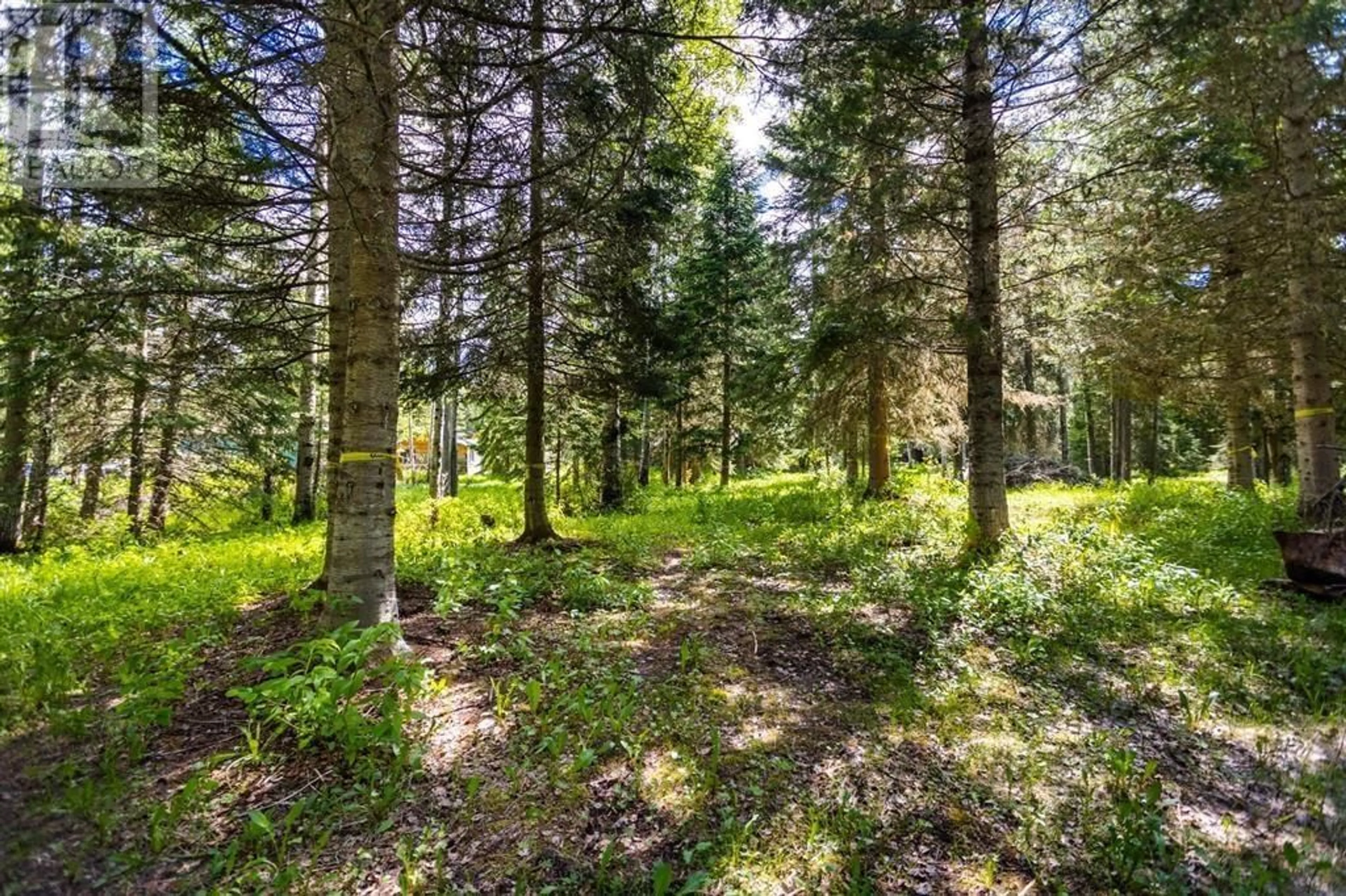 Unknown for 4751 PONDEROSA ROAD, Prince George British Columbia V2N6J6