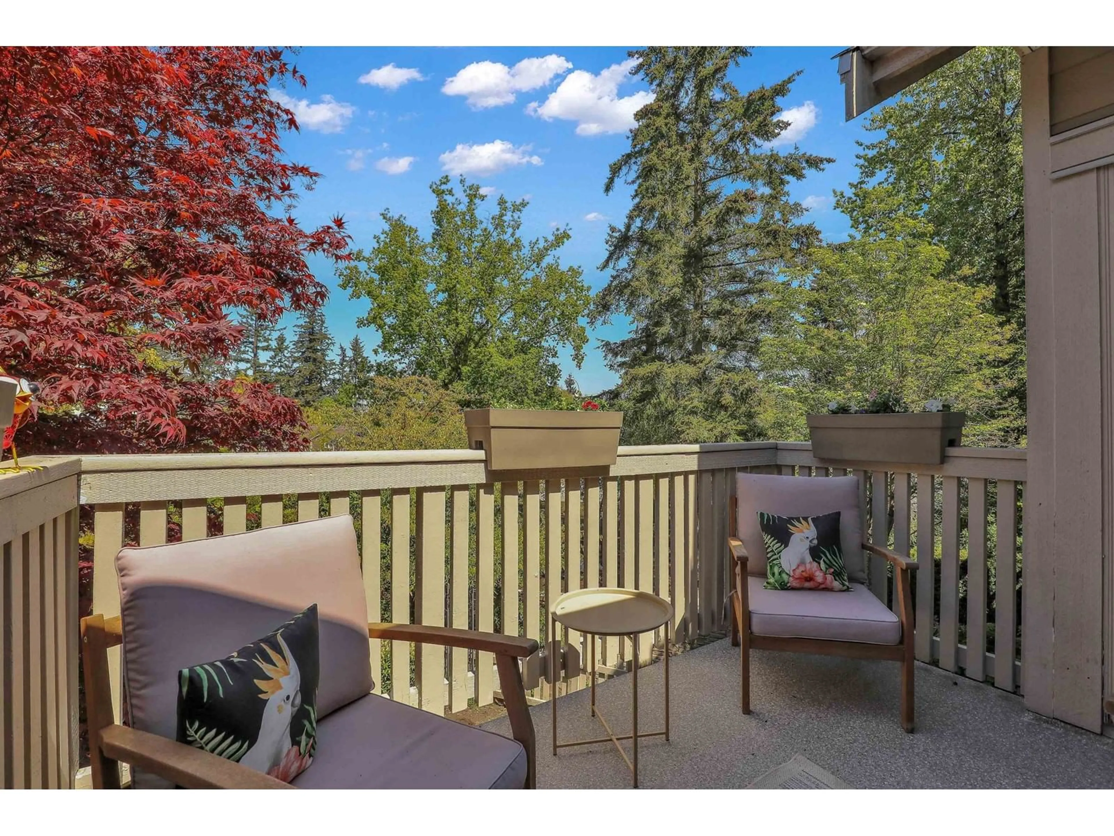 Patio, forest/trees view for 58 - 2588 152, Surrey British Columbia V4P3H9