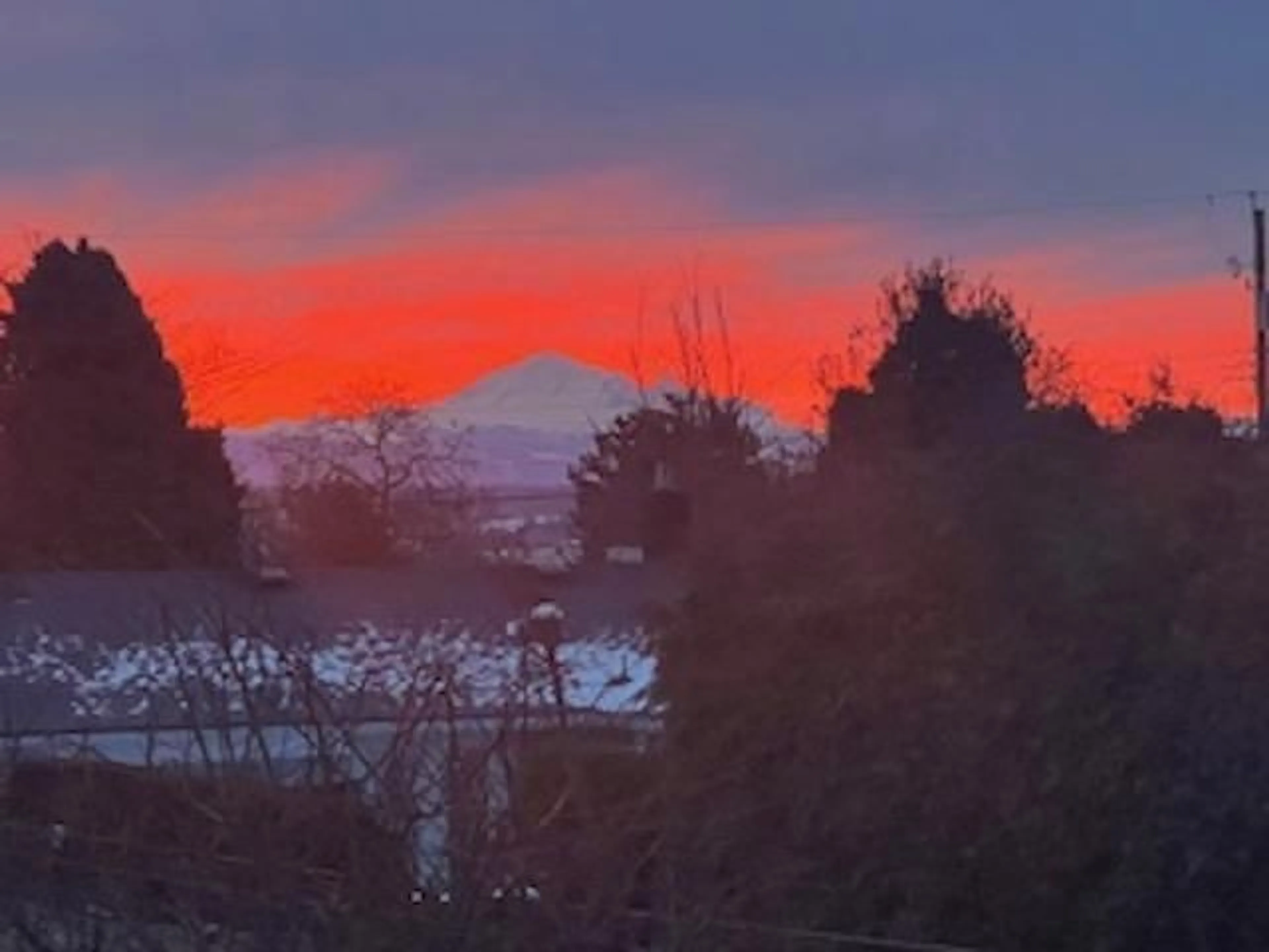 Blurry image for 1350 FINLAY, White Rock British Columbia V4B4L2